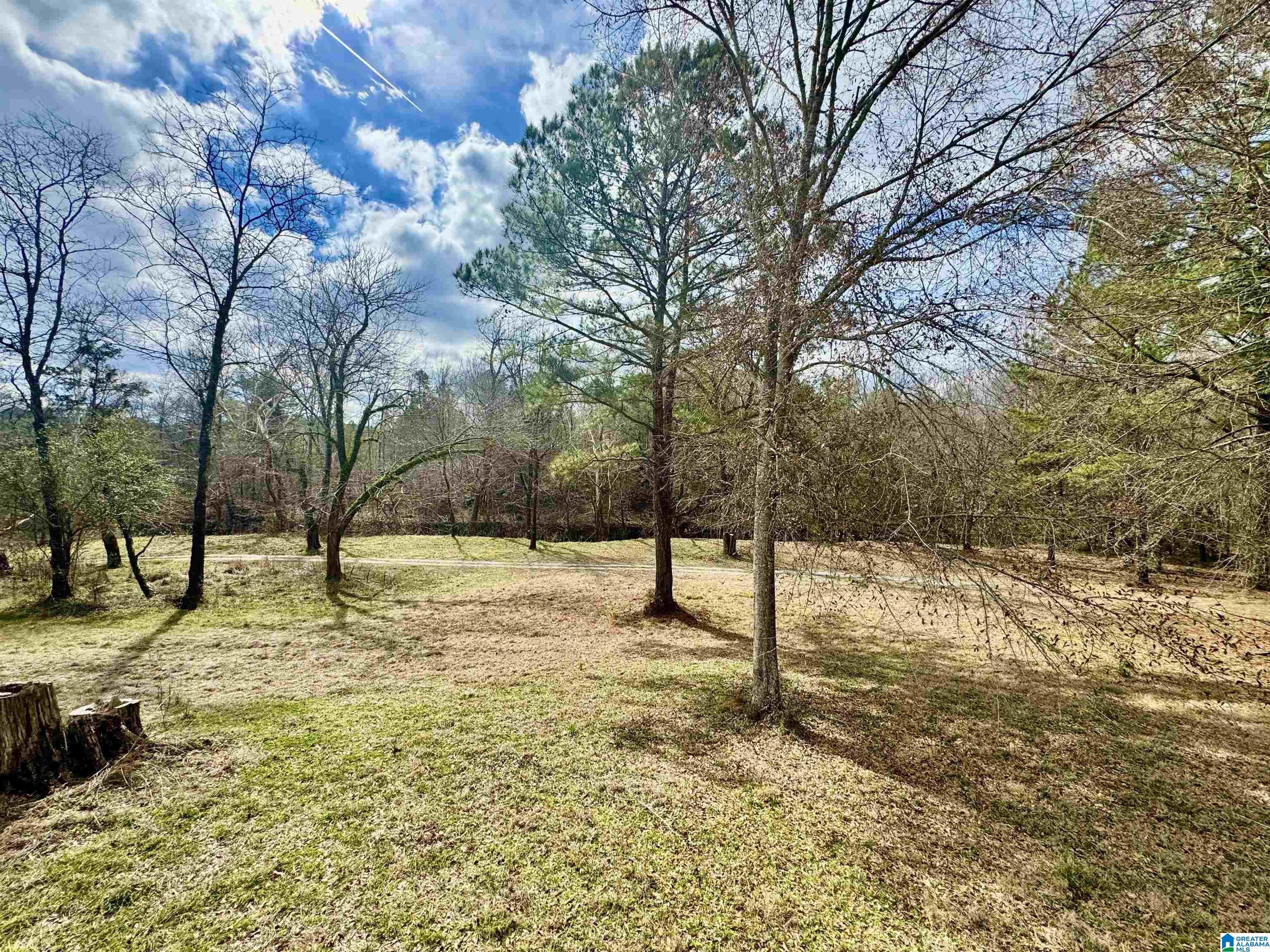 576 Gunlock Street Montevallo, AL 35115 - Photo 43 of 76