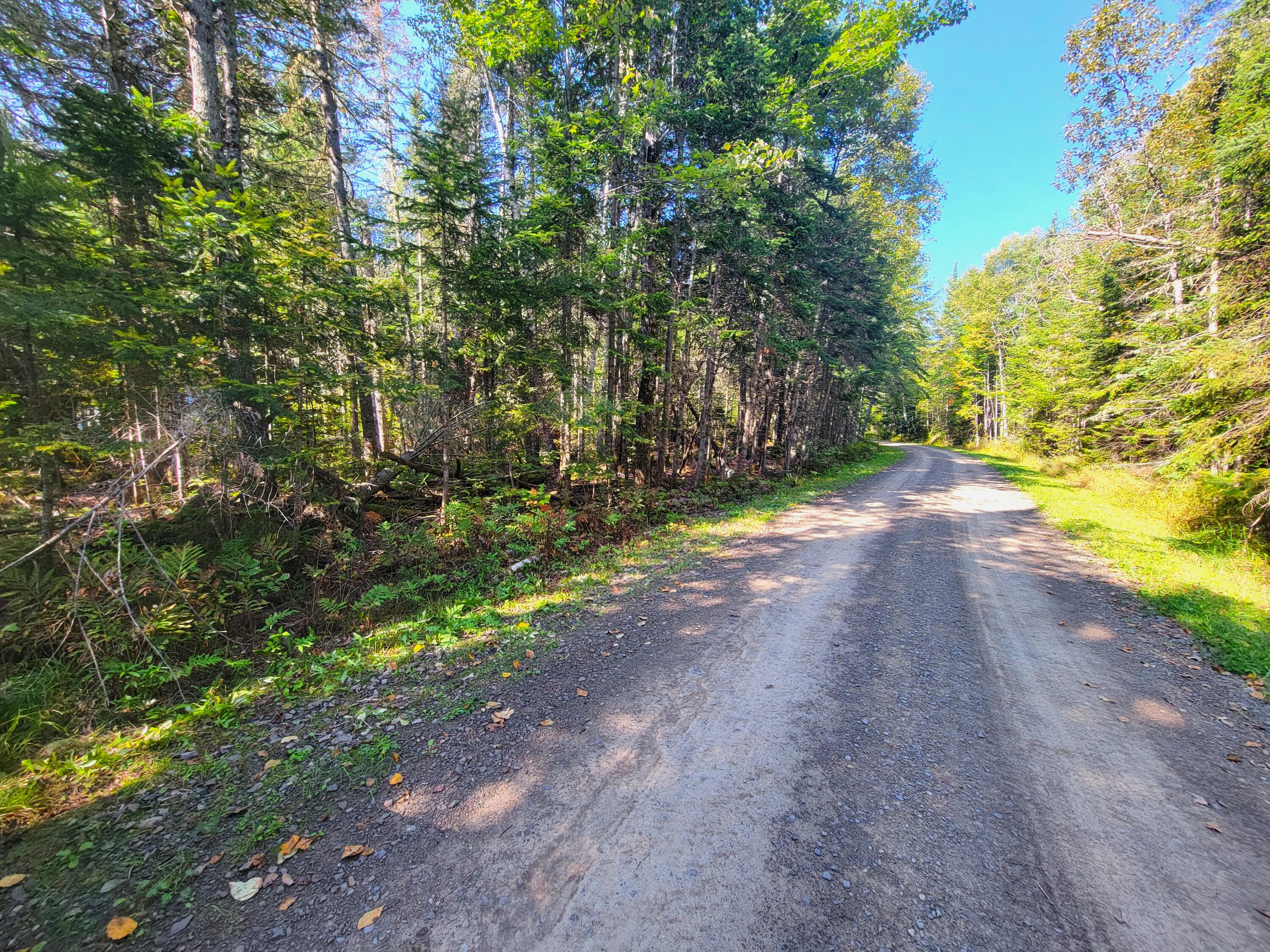 T16 R5 Abraham Point Road Sinclair, ME 04779 - Photo 5 of 7 20240830_100403