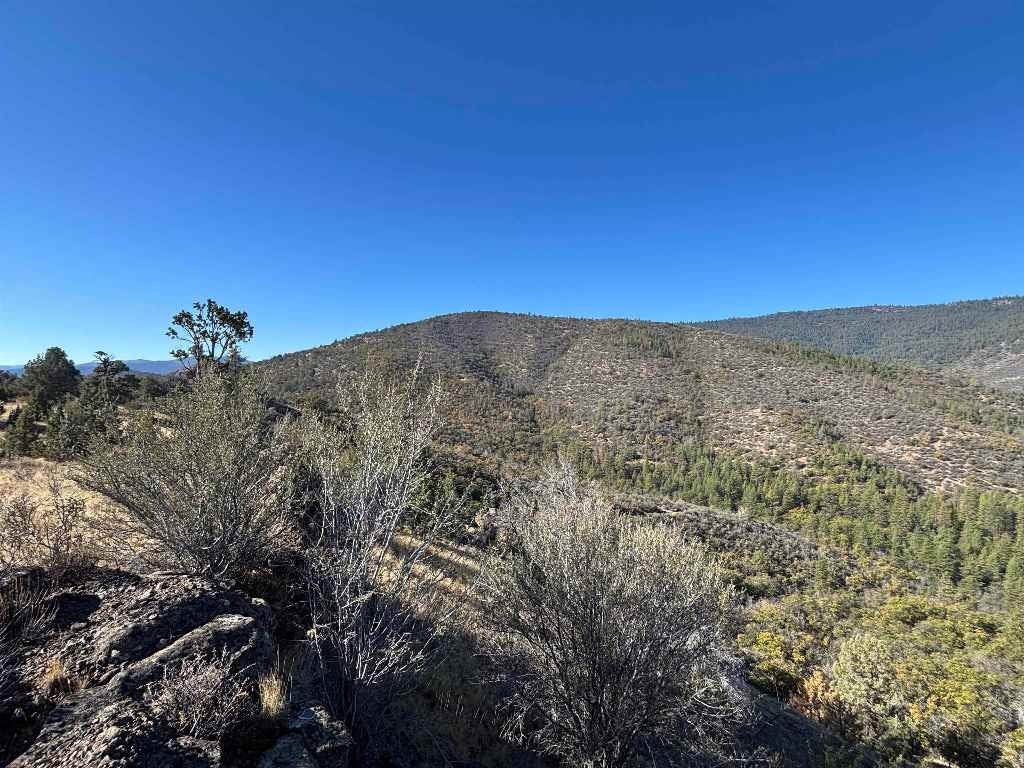 0 Guys Gulch Road Mount Shasta, CA 96067 - Photo 11 of 11 Gallery Image 11