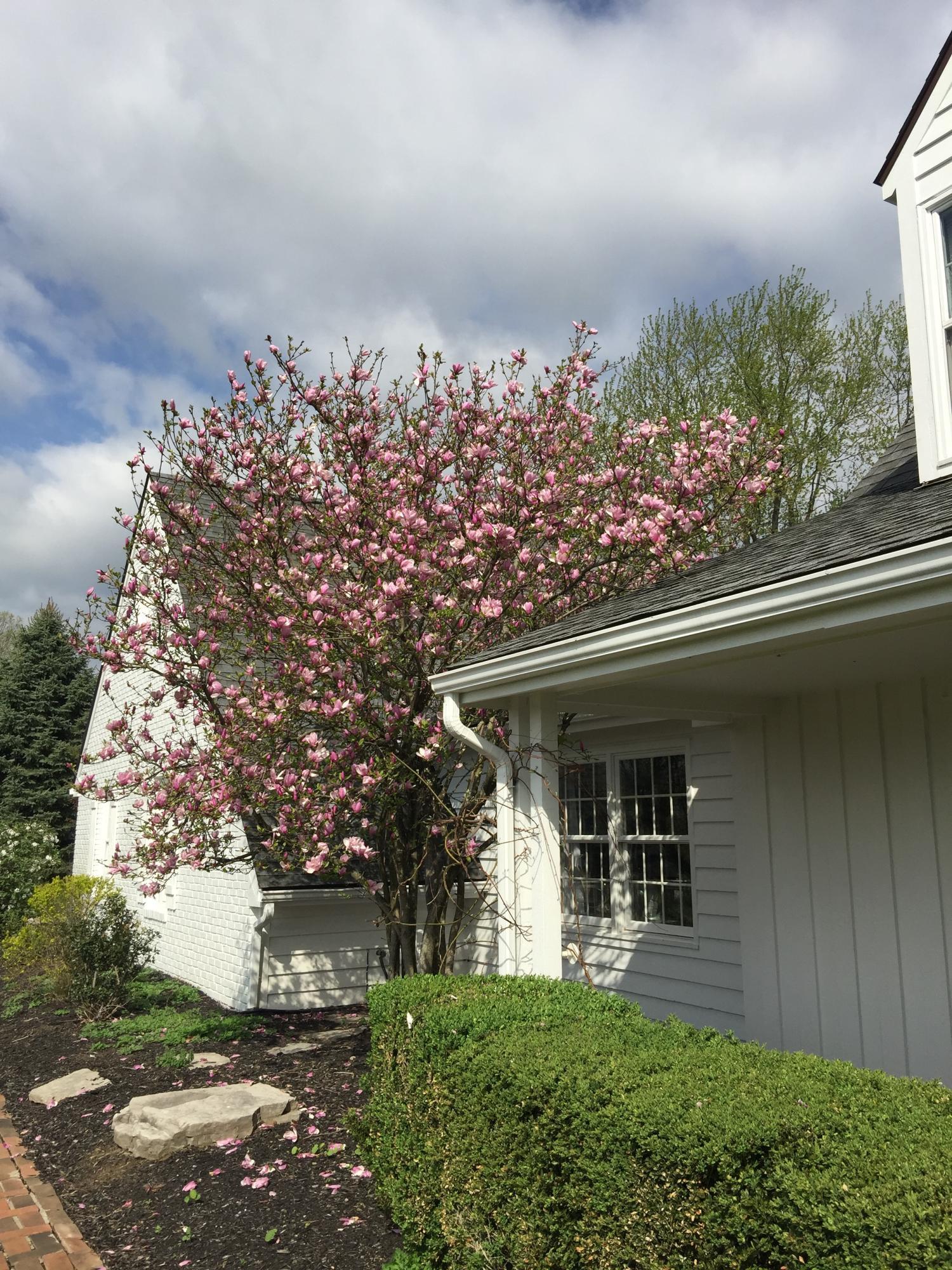 10 Rees Road Granville, OH 43023 - Photo 29 of 29