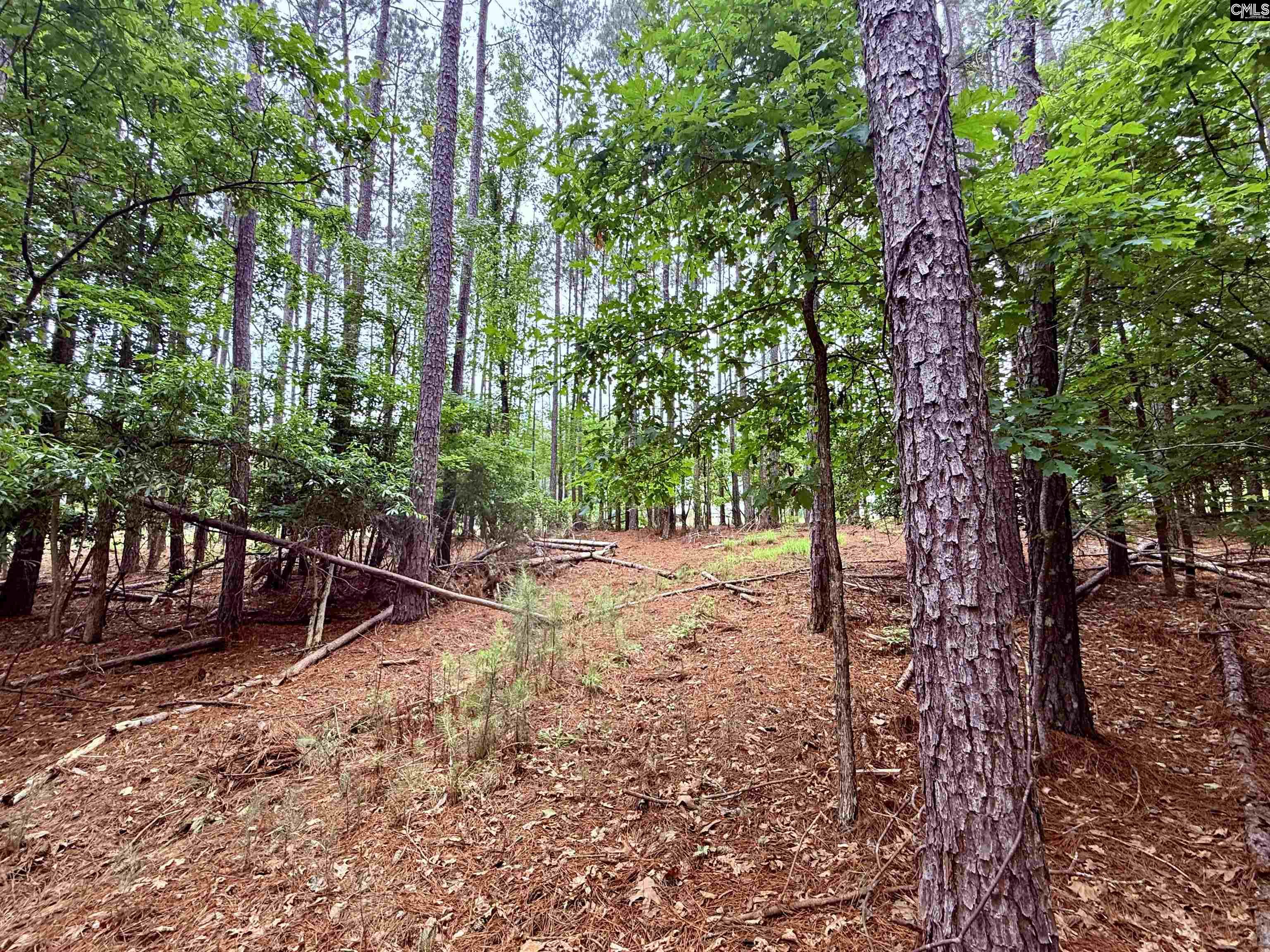 85 Timber Trl Lane Prosperity, SC 29127 - Photo 8 of 19