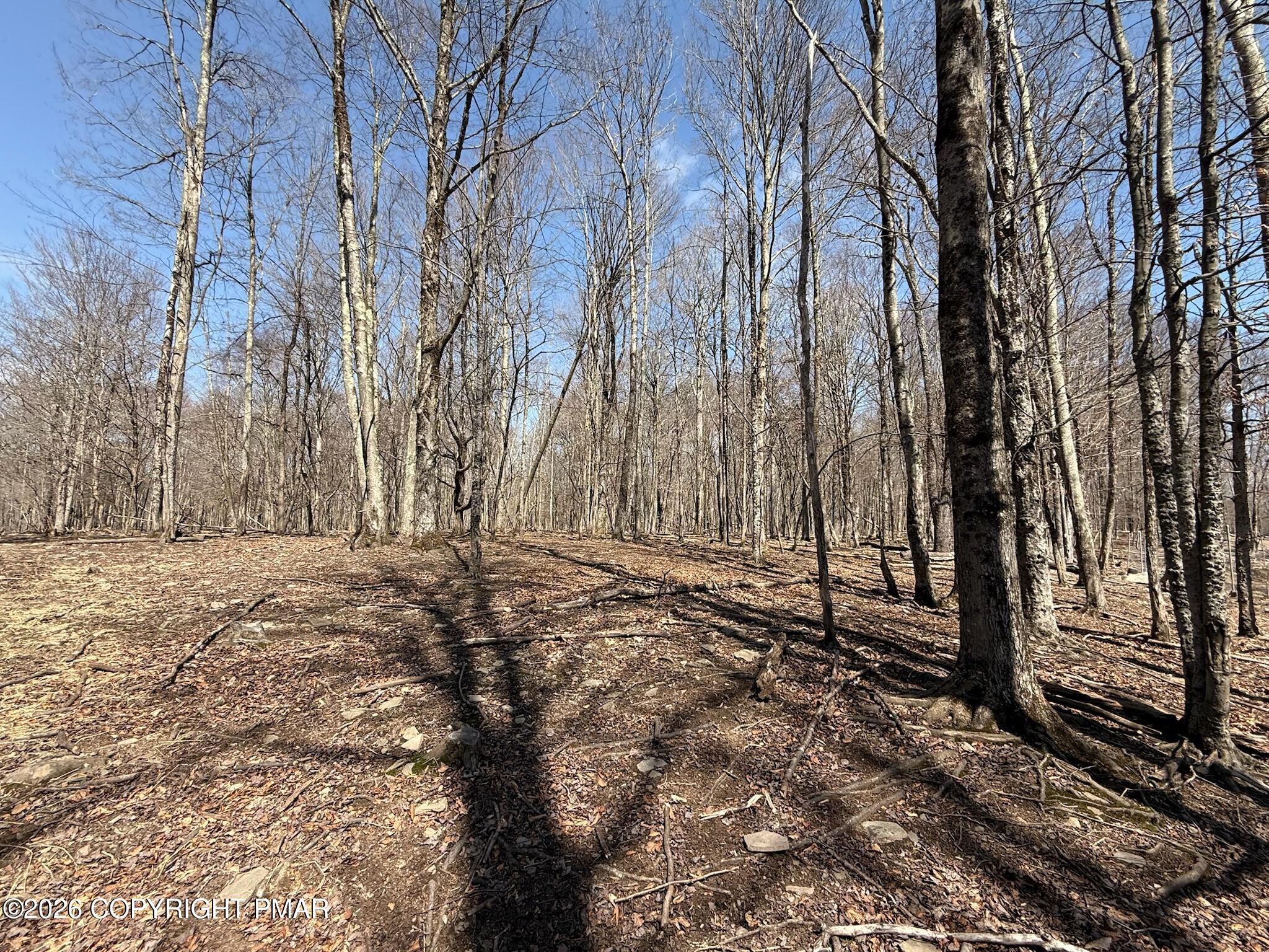 Blum Road Equinunk, PA 18417 - Photo 2 of 6 IMG_1081