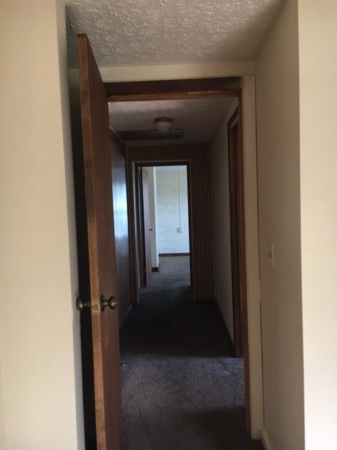 219 Reeb Avenue Columbus, OH 43207 - Photo 5 of 6