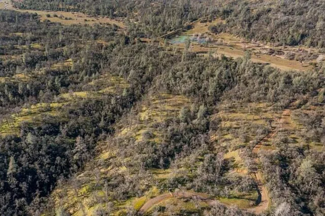 a view of beach and ocean
