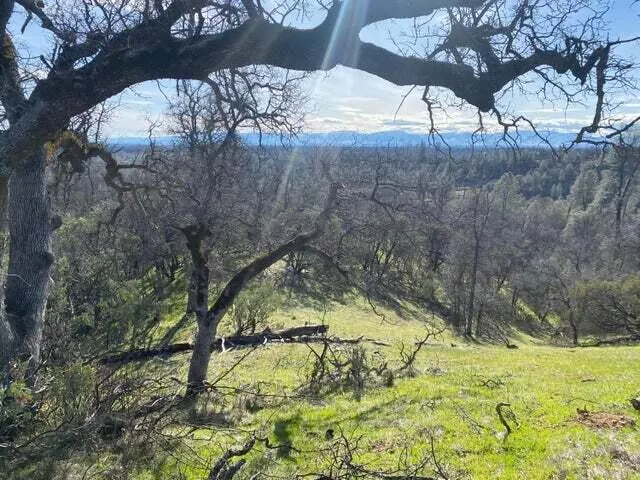 a view of swimming pool with a yard