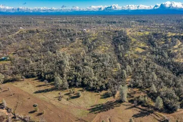 a view of a yard with an outdoor space