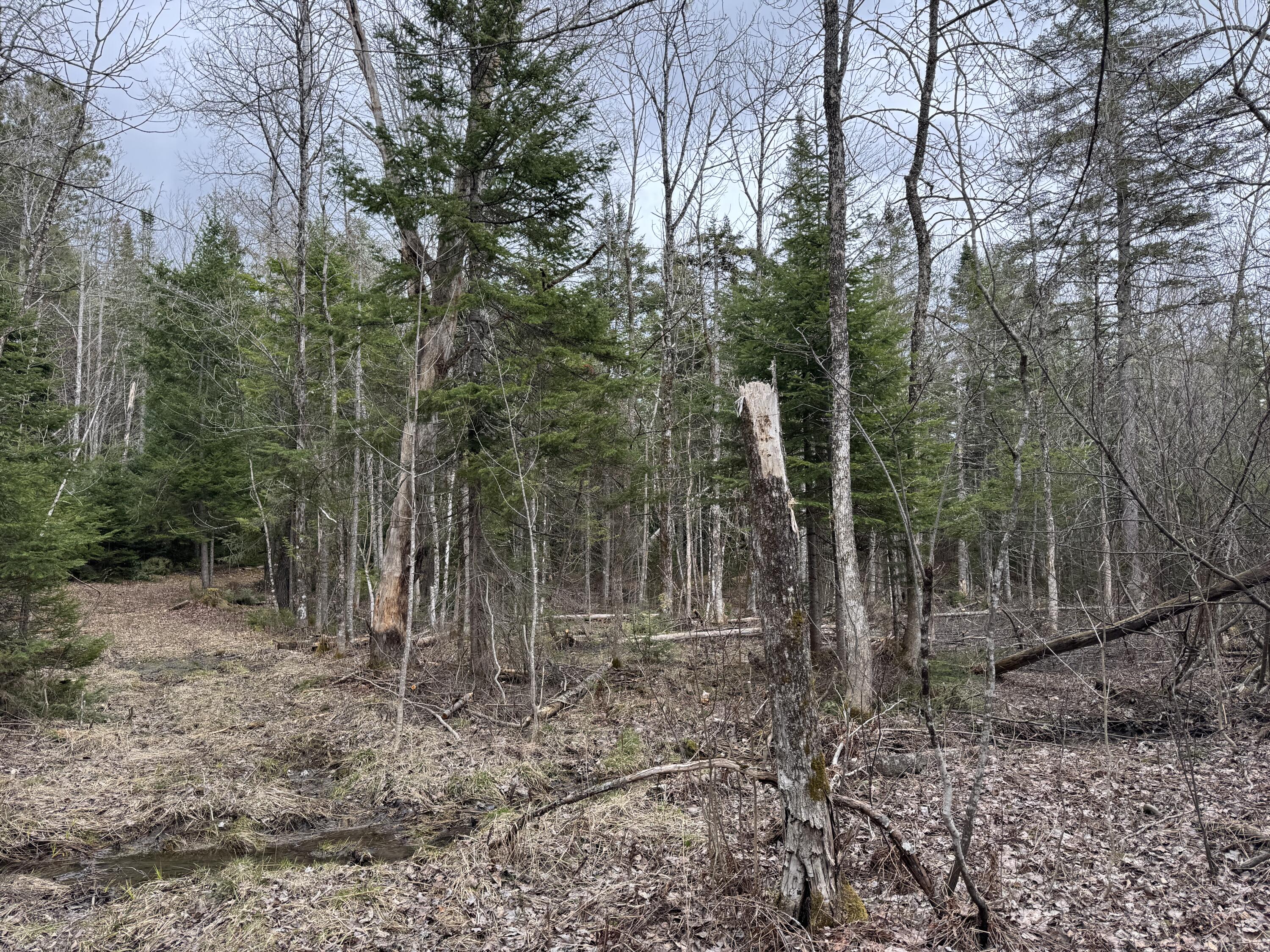 0 Mantor School House Road Parkman, ME 04443 - Photo 15 of 15 IMG_0188