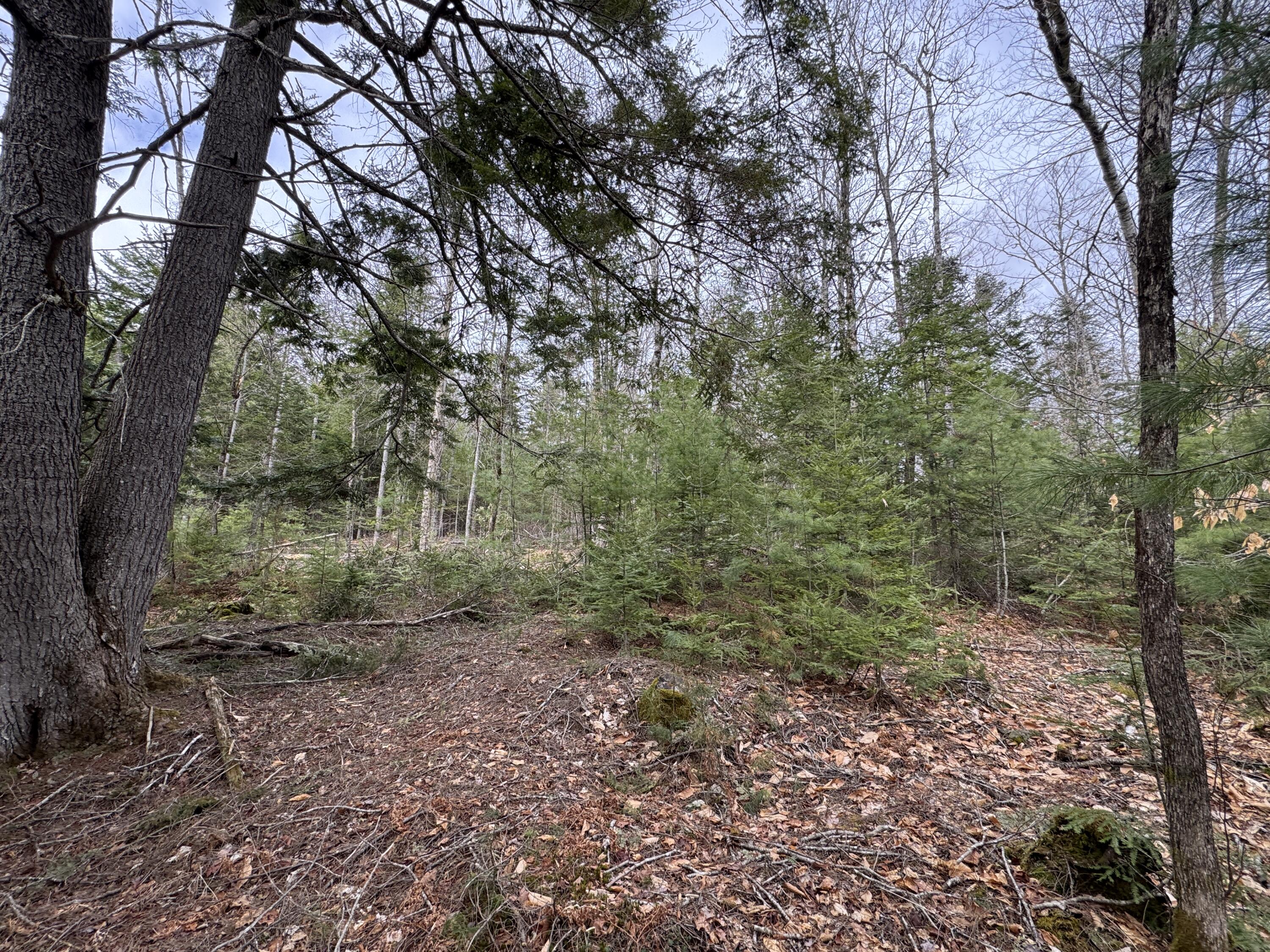 0 Mantor School House Road Parkman, ME 04443 - Photo 3 of 15 IMG_0189