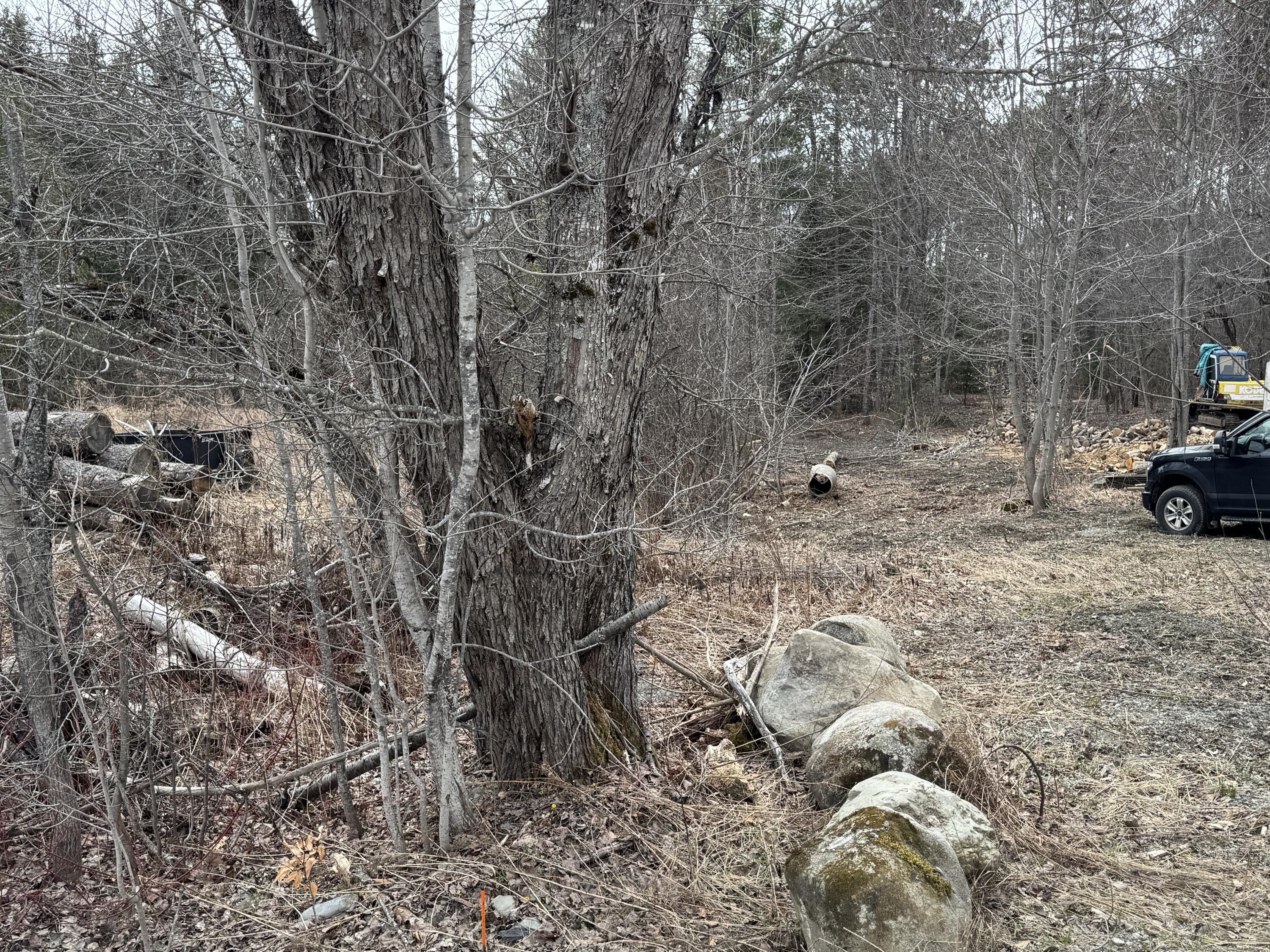 0 Mantor School House Road Parkman, ME 04443 - Photo 4 of 15 IMG_0177