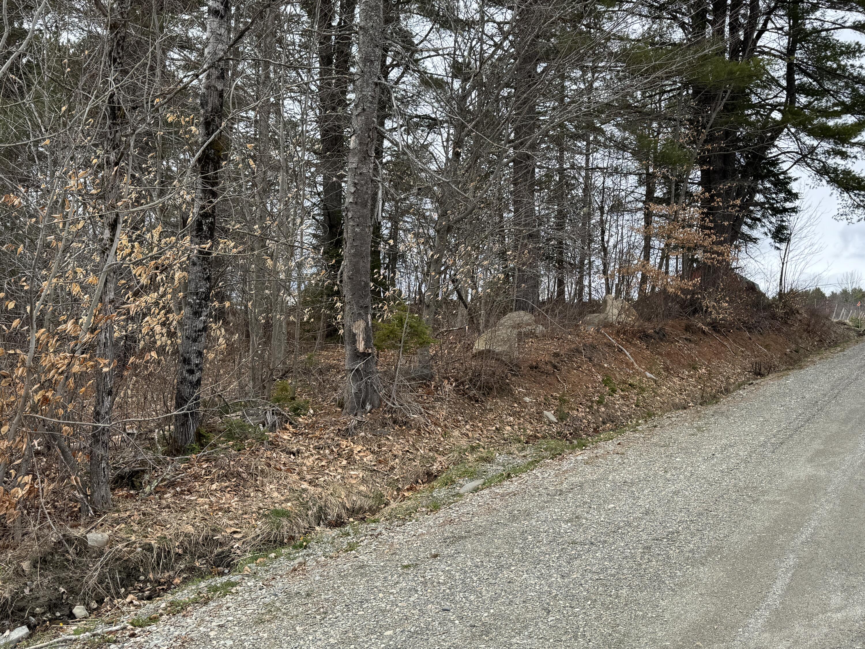 0 Mantor School House Road Parkman, ME 04443 - Photo 5 of 15 IMG_0178