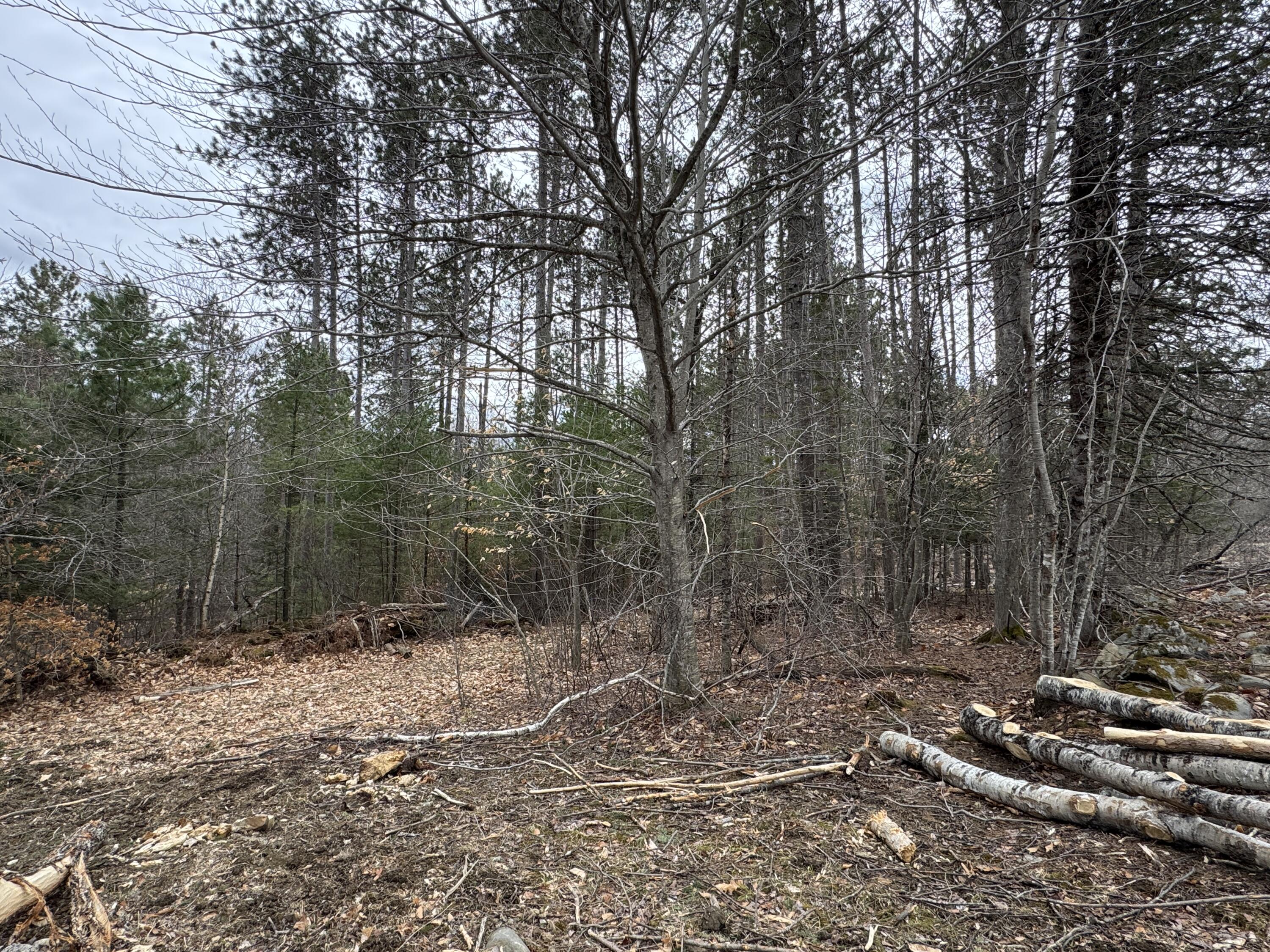 0 Mantor School House Road Parkman, ME 04443 - Photo 7 of 15 IMG_0180