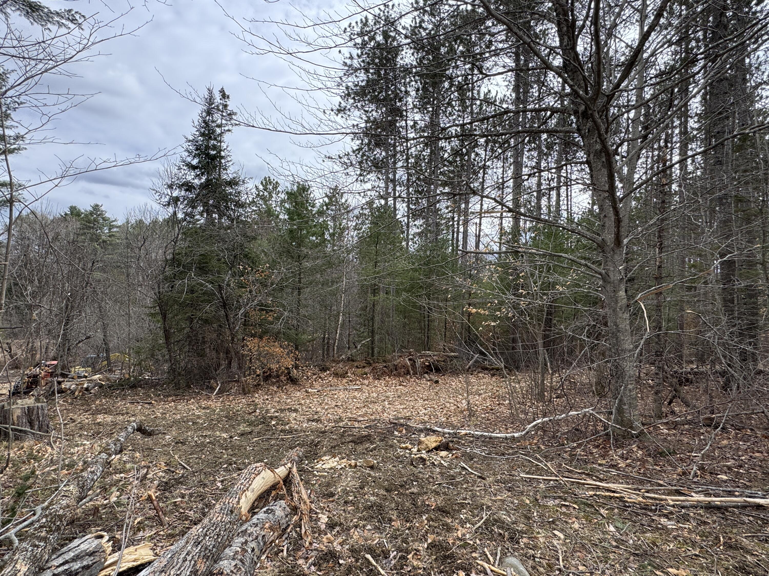 0 Mantor School House Road Parkman, ME 04443 - Photo 8 of 15 IMG_0181