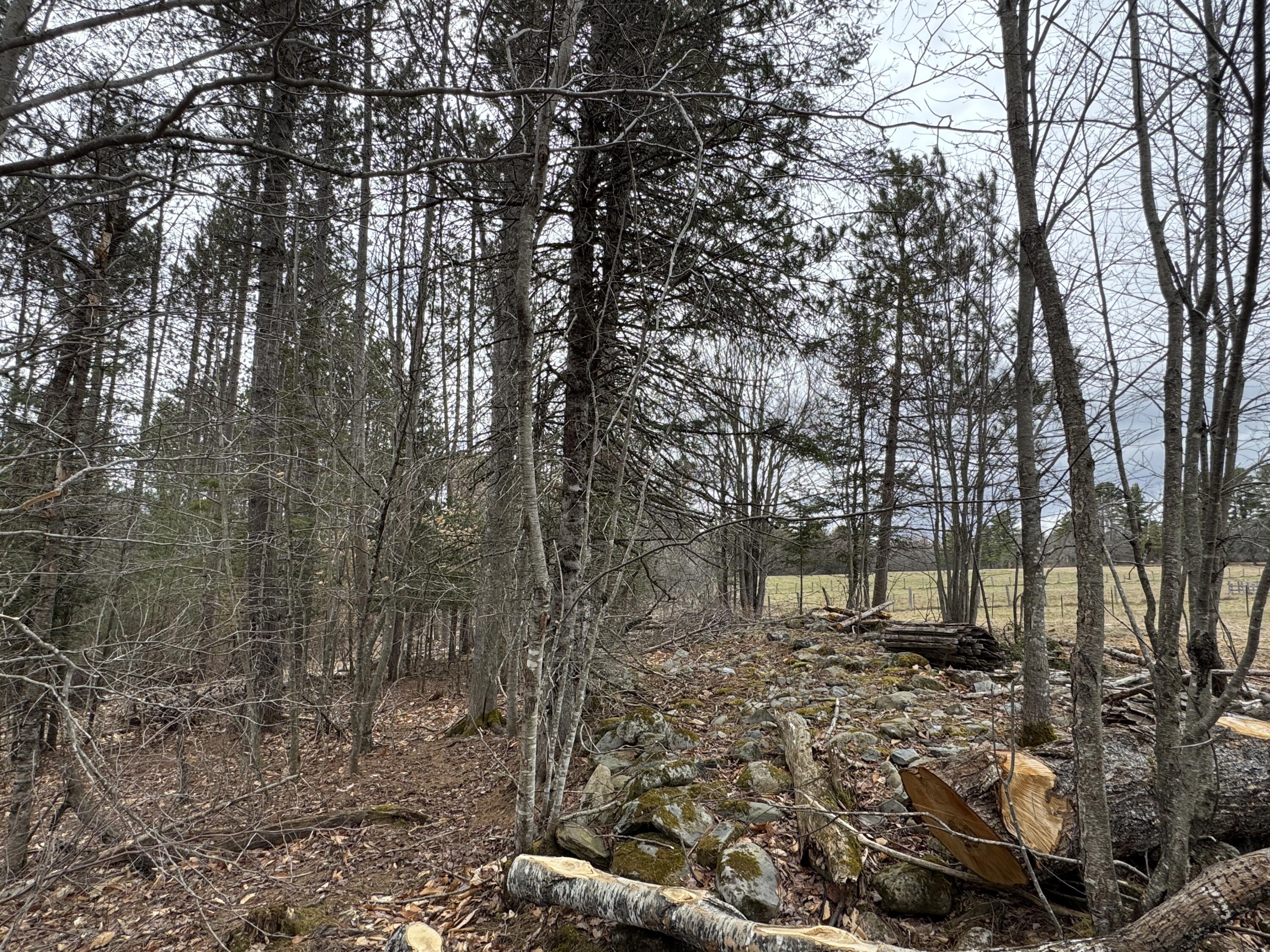 0 Mantor School House Road Parkman, ME 04443 - Photo 9 of 15 IMG_0182