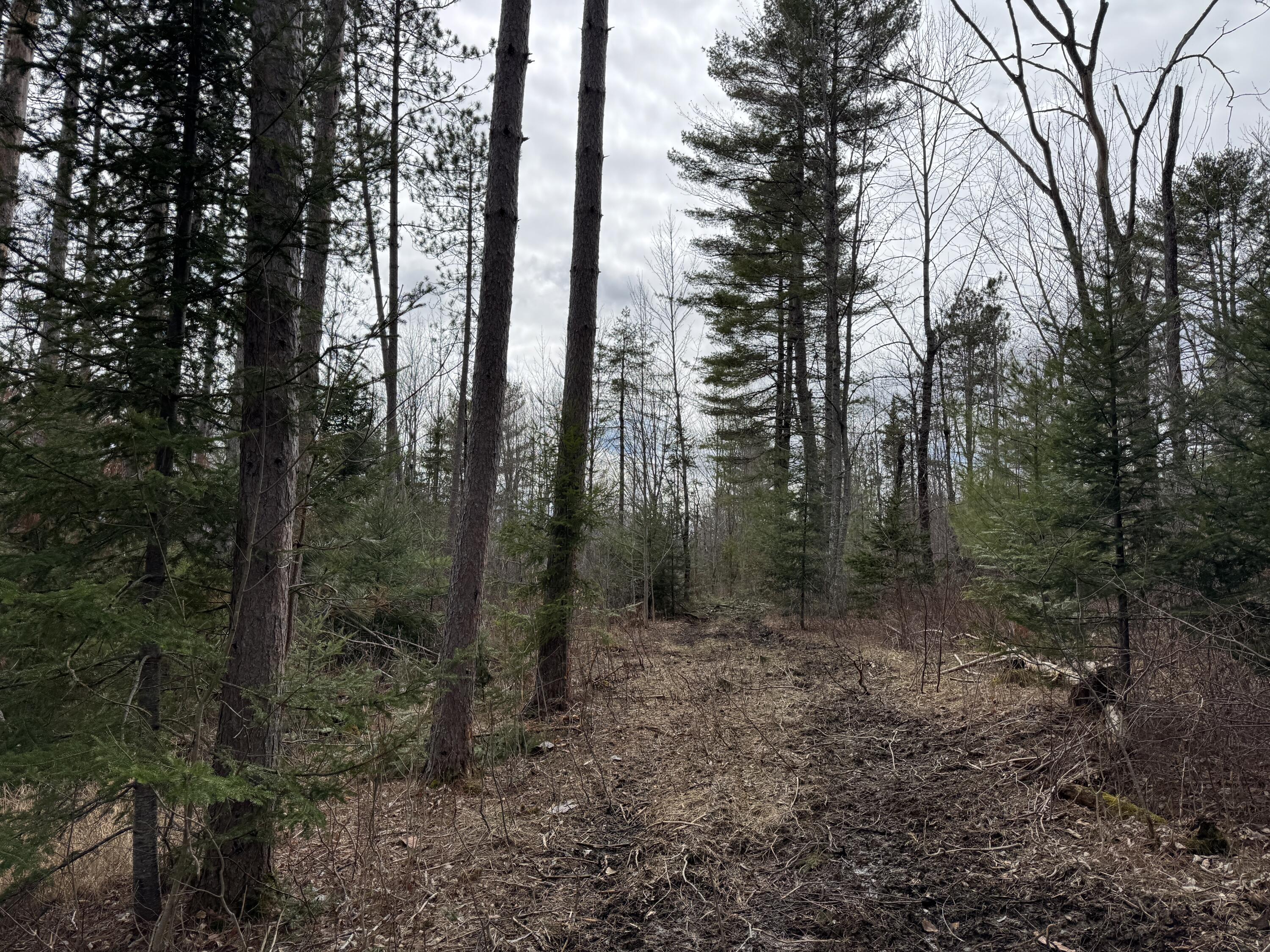 0 Mantor School House Road Parkman, ME 04443 - Photo 10 of 15 IMG_0183