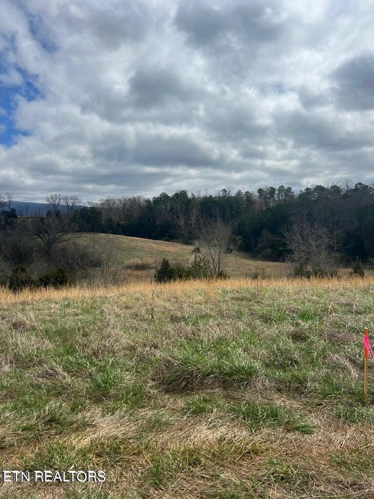 0 Bogard Road Cosby, TN 37722 - Photo 1 of 1 0 Bogard Rd Lot 5 & Lot 6 Photo
