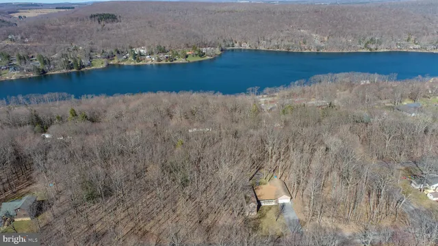 a view of a backyard with large trees