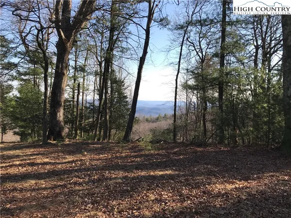 $98,000 | Lot 156 Oak Circle, Thurmond, NC 28683