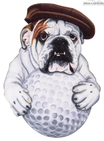 $98,000 | Lot 156 Oak Circle, Thurmond, NC 28683