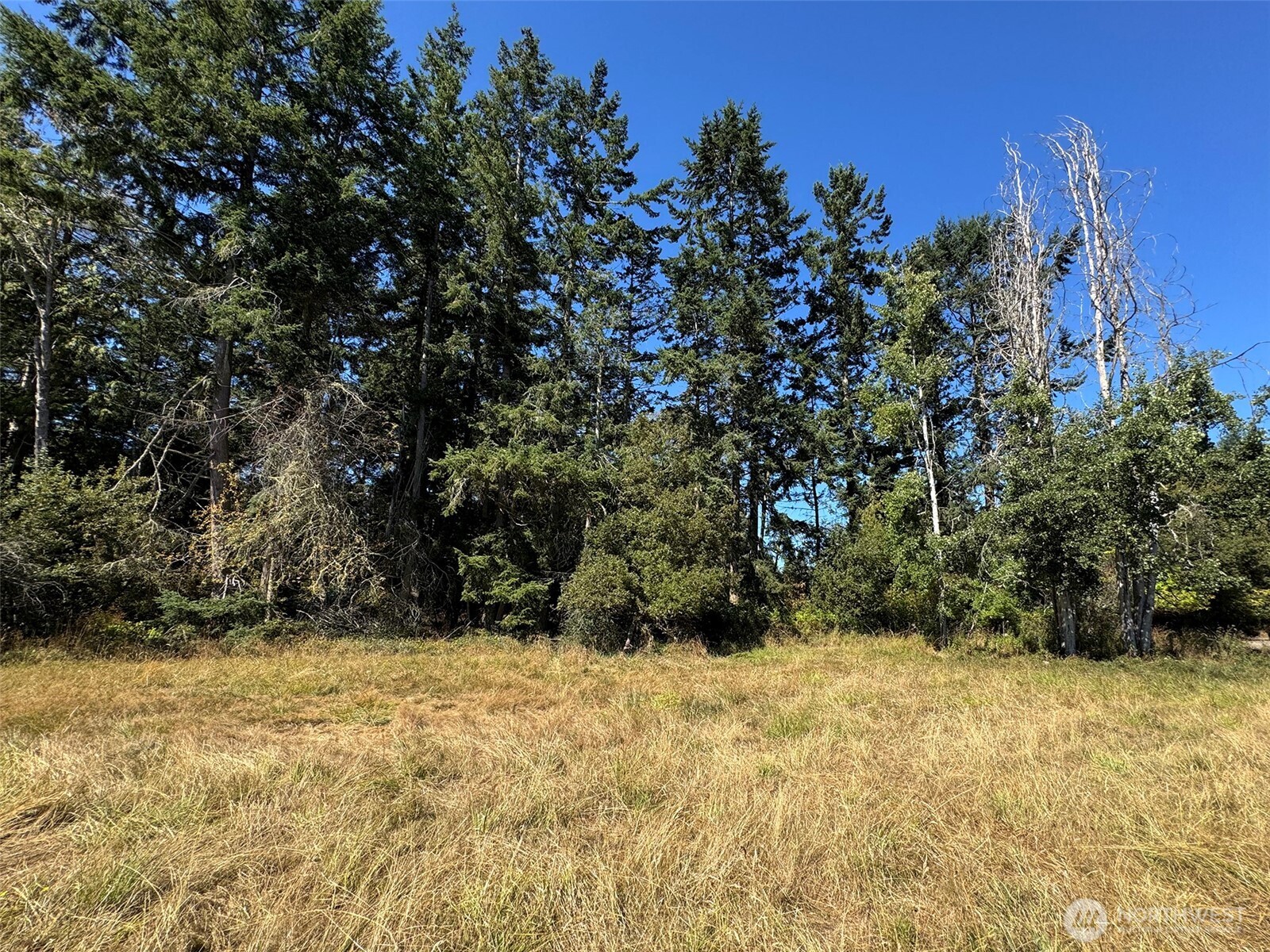 999 Bay View Street Sequim, WA 98382 - Photo 11 of 26 a view of outdoor space and trees all around