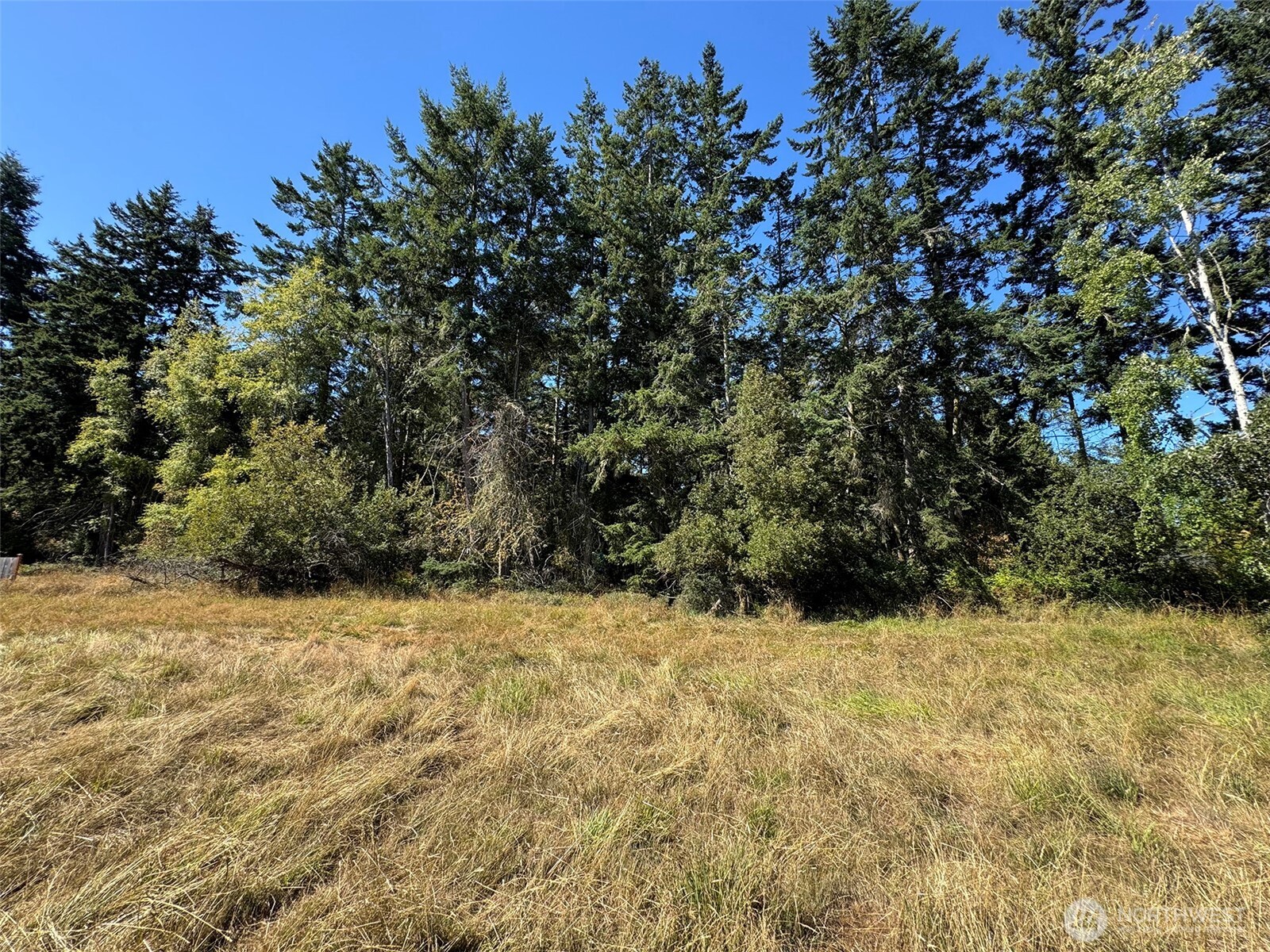 999 Bay View Street Sequim, WA 98382 - Photo 12 of 26 a view of a yard