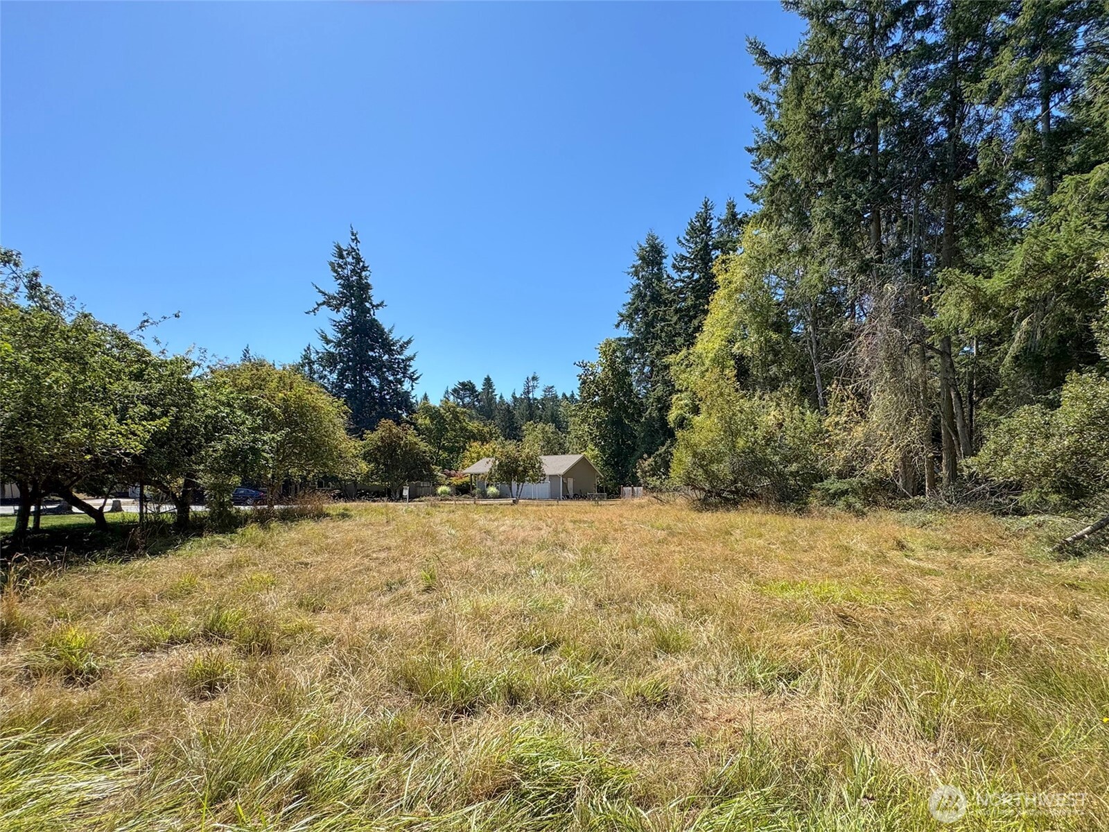 999 Bay View Street Sequim, WA 98382 - Photo 14 of 26 a view of a yard with a tree