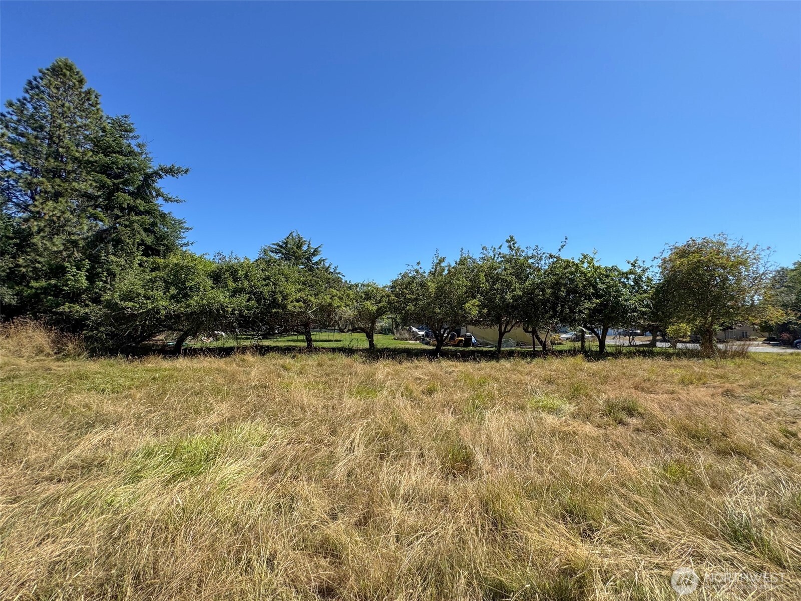 999 Bay View Street Sequim, WA 98382 - Photo 17 of 26 a view of an outdoor space and a yard
