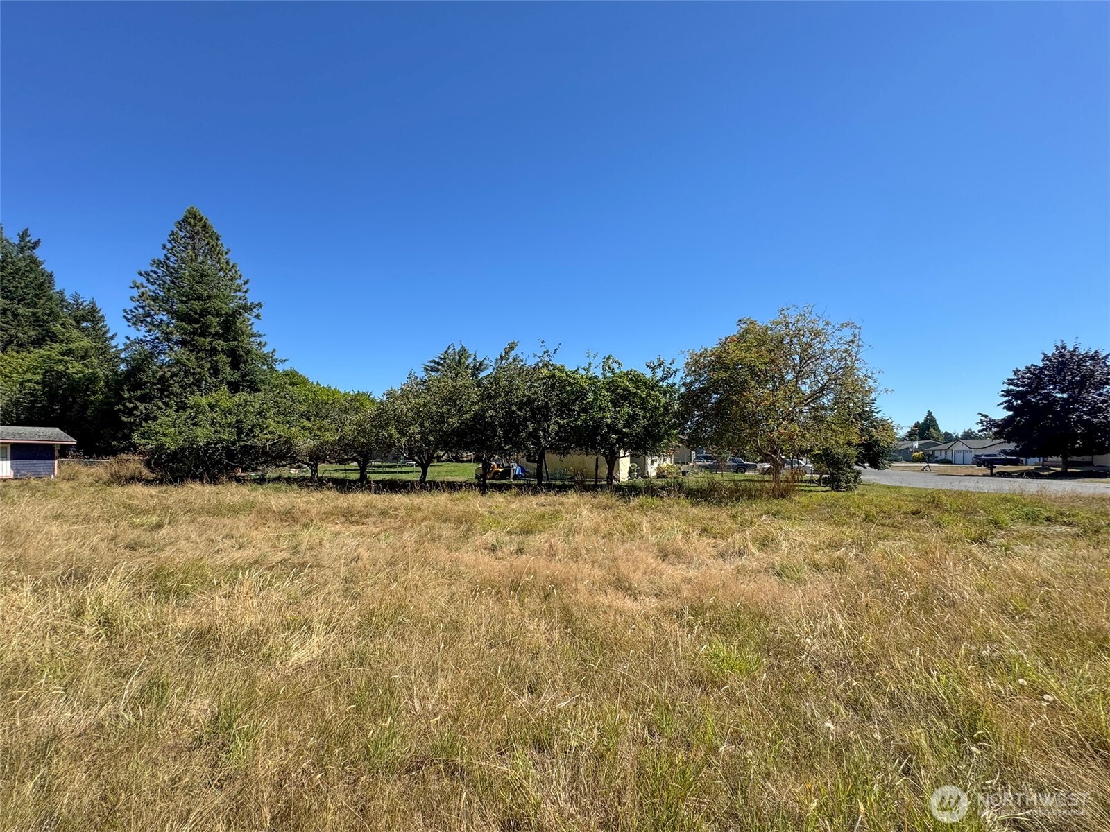 999 Bay View Street Sequim, WA 98382 - Photo 18 of 26 a view of a yard with an trees