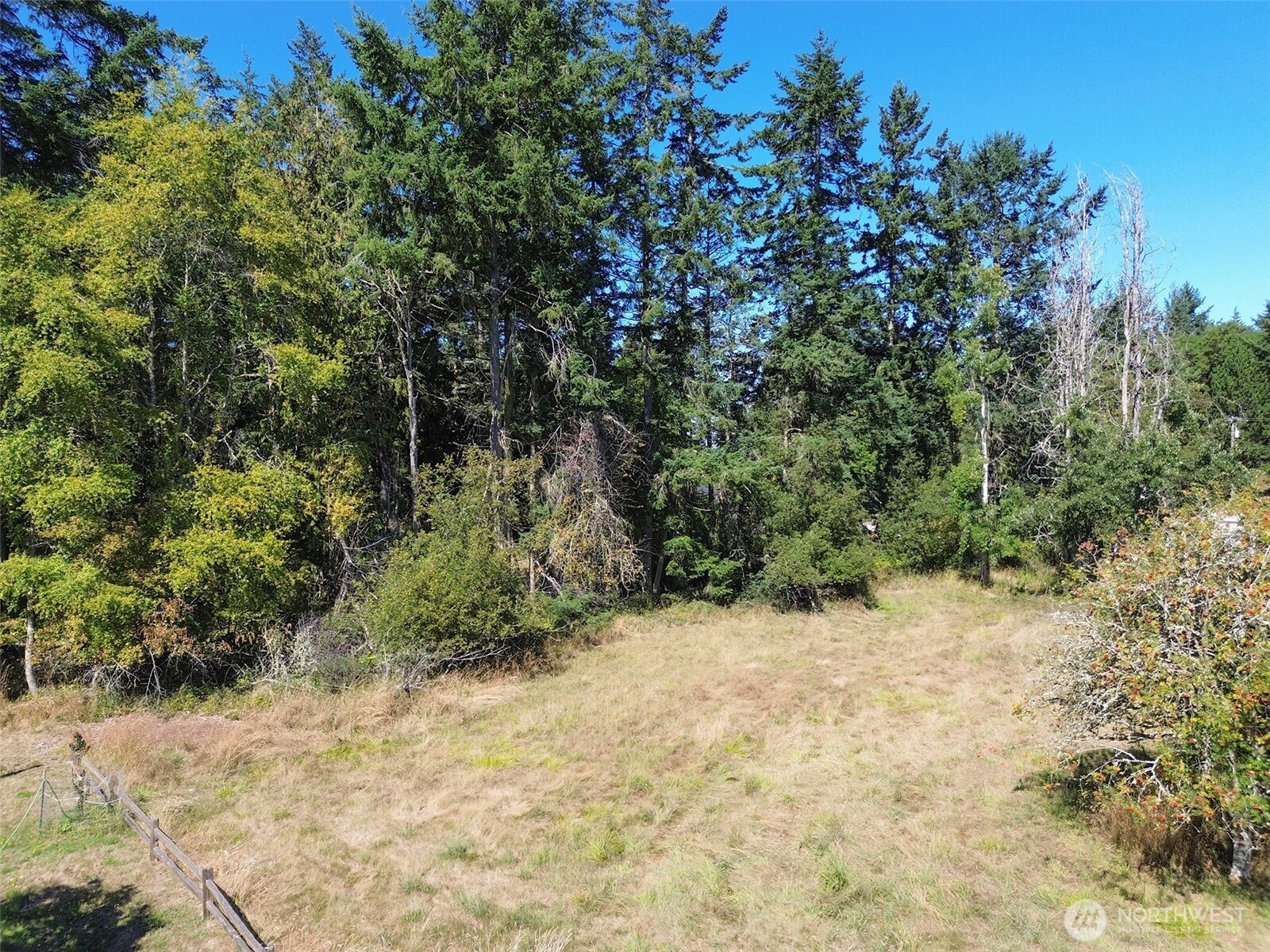 999 Bay View Street Sequim, WA 98382 - Photo 19 of 26 a view of a yard with trees