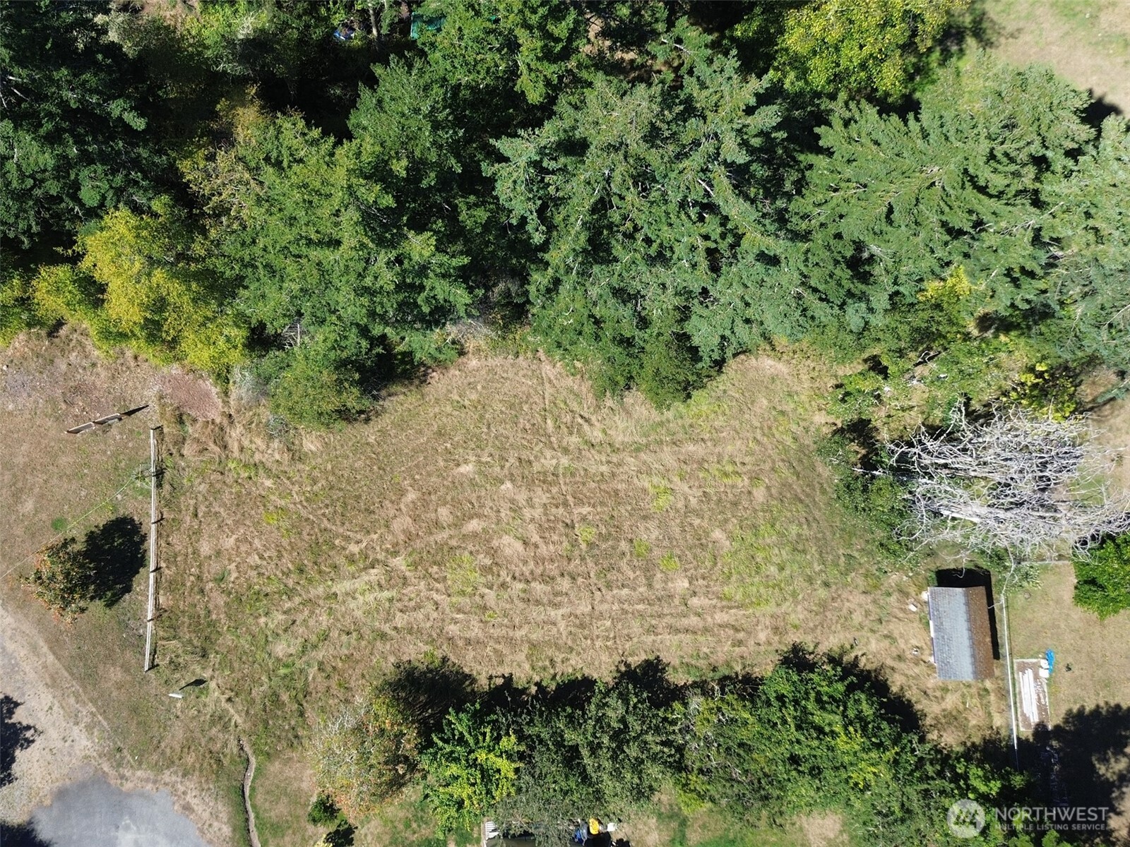 999 Bay View Street Sequim, WA 98382 - Photo 2 of 26 a view of a yard with plants