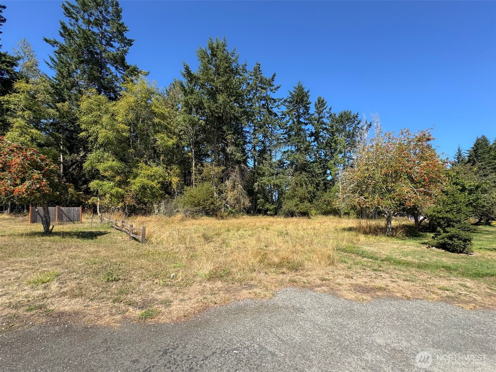 999 Bay View Street Sequim, WA 98382 - Photo 3 of 26 a view of ocean with trees