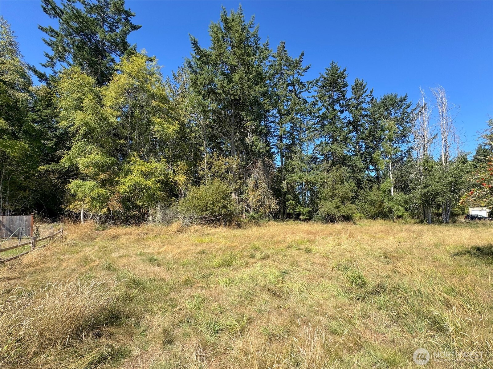 999 Bay View Street Sequim, WA 98382 - Photo 4 of 26 a view of a yard covered with snow in front of house