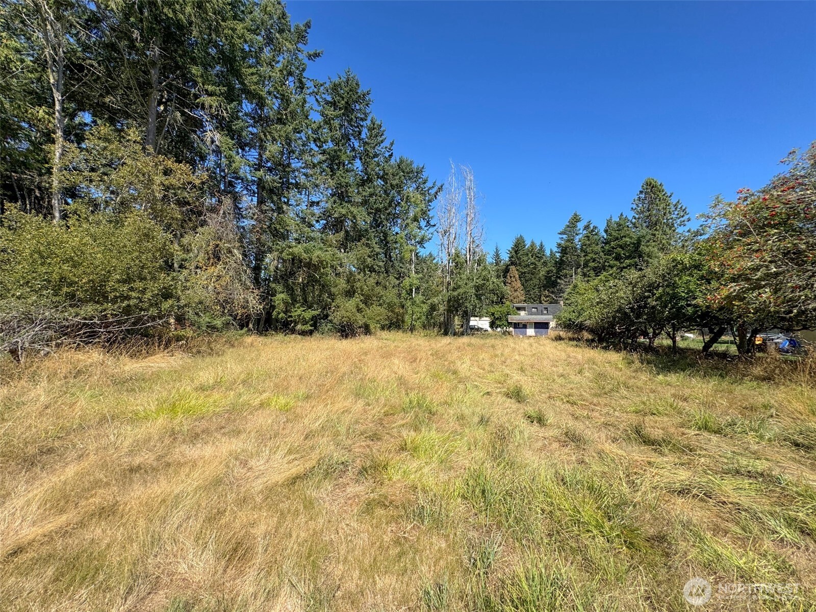 999 Bay View Street Sequim, WA 98382 - Photo 5 of 26 a view of a yard with trees