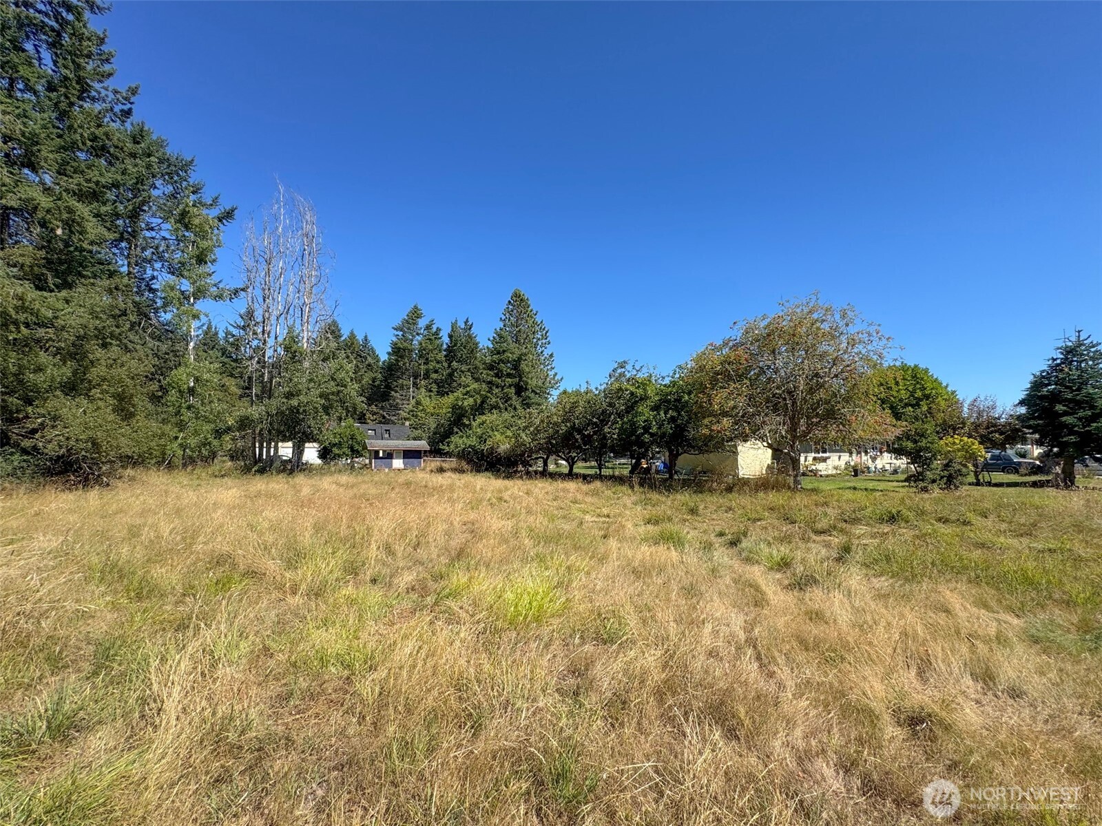 999 Bay View Street Sequim, WA 98382 - Photo 6 of 26 a view of a yard with a tree
