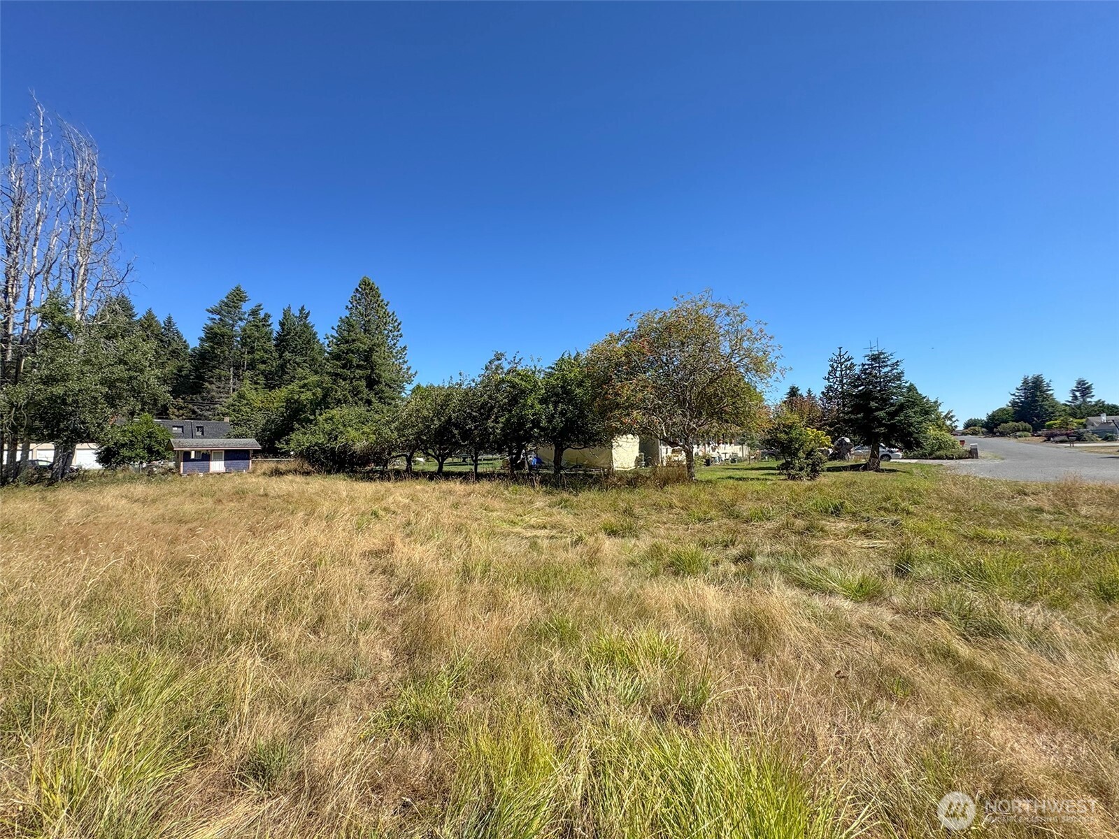 999 Bay View Street Sequim, WA 98382 - Photo 7 of 26 a view of a yard with an trees