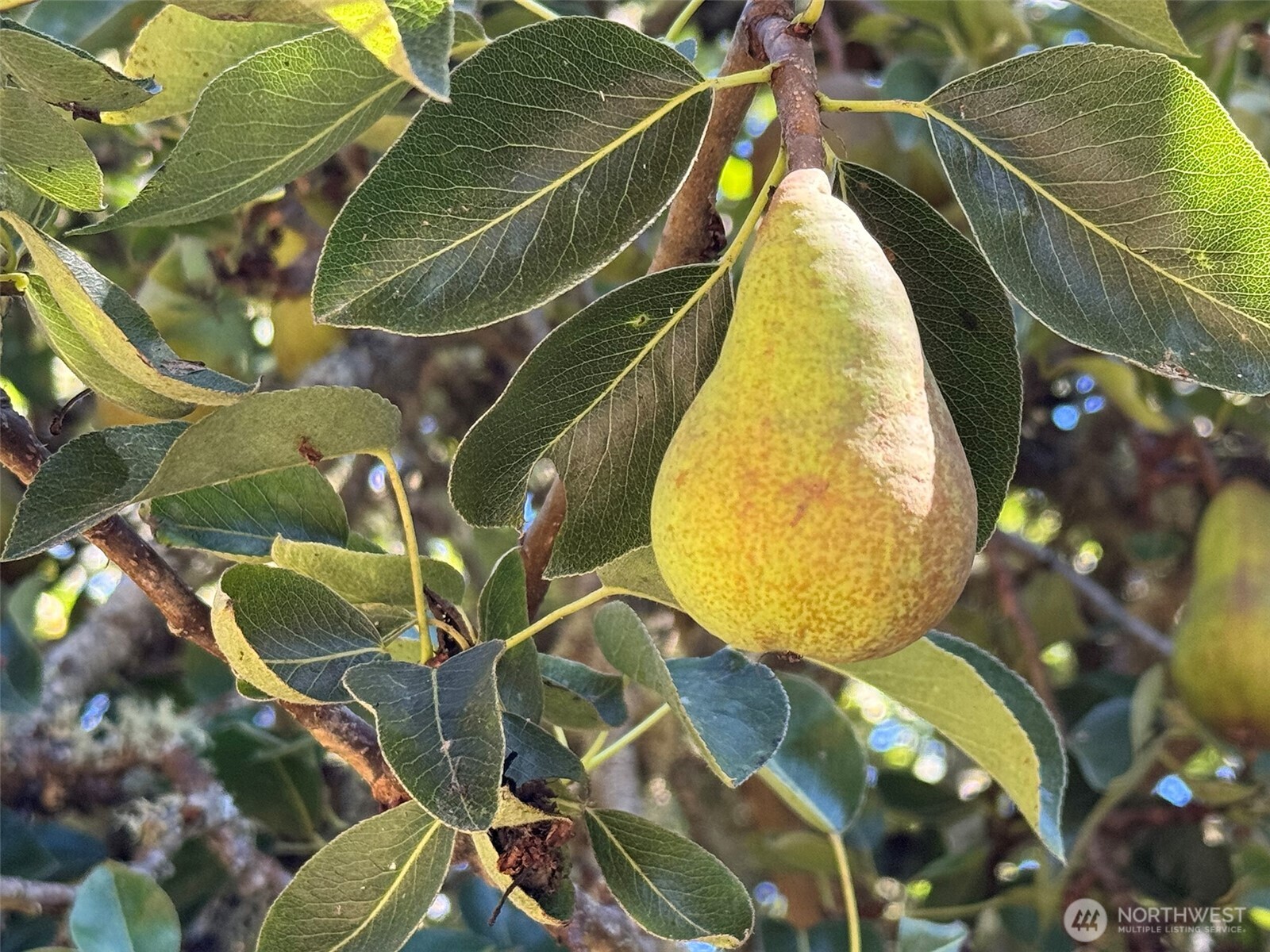 999 Bay View Street Sequim, WA 98382 - Photo 10 of 26 a view of a tennis court