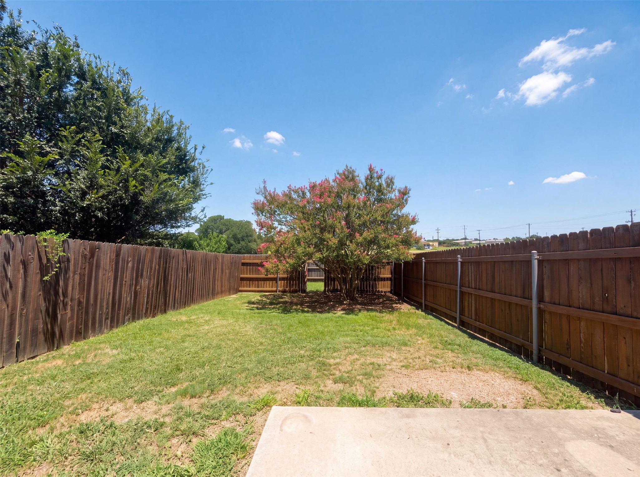 40 Verde Ranch Loop Leander, TX 78641 - Photo 20 of 20 A well-defined backyard space features a mature flowering tree and a solid wood fence for privacy.