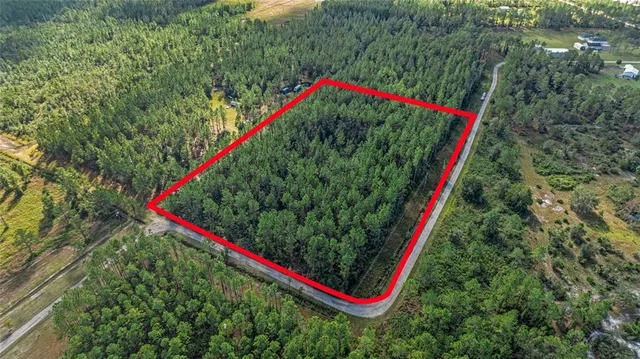 a close up of a tree