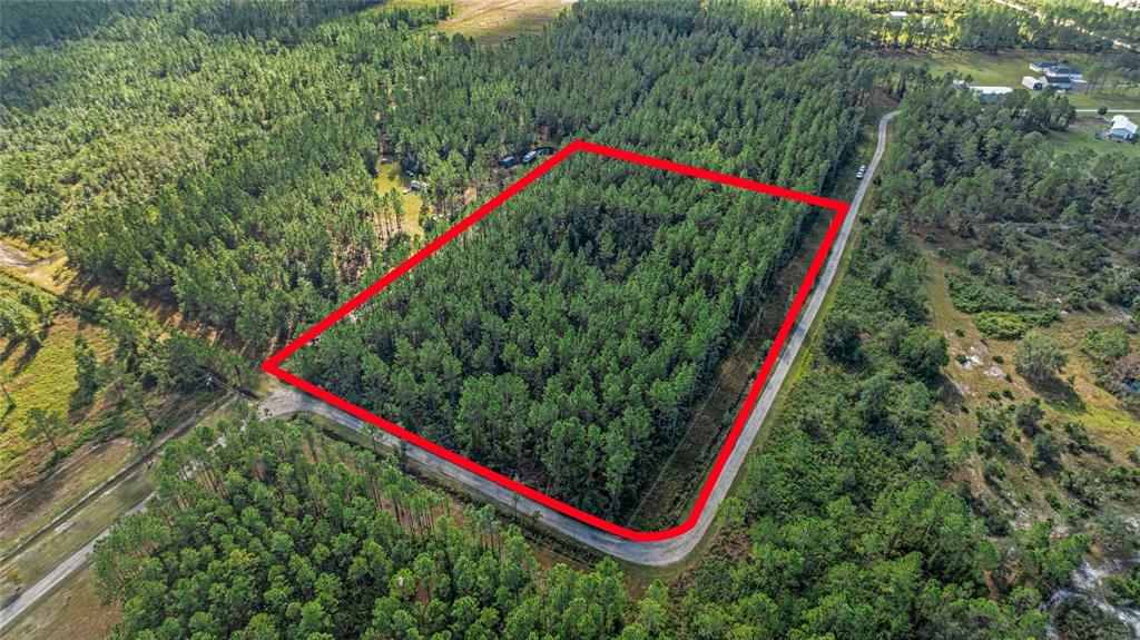 2 Wild Cur Road Pierson, FL 32180 - Photo 1 of 9 a close up of a tree