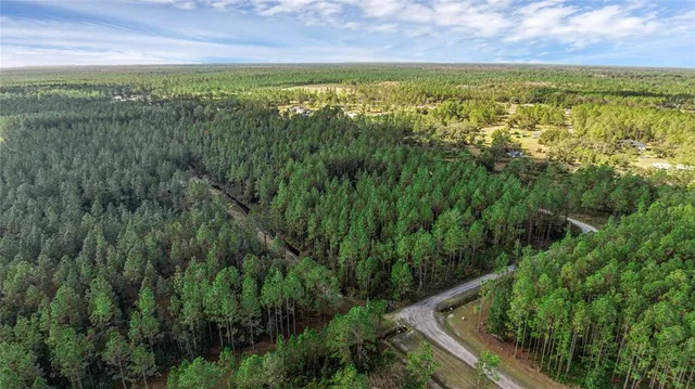 a view of an outdoor space and a yard