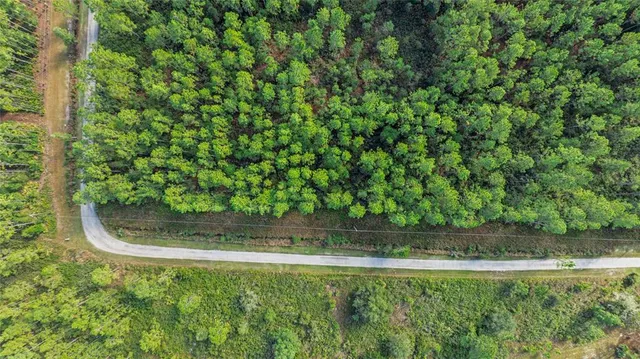 a view of a garden in a yard