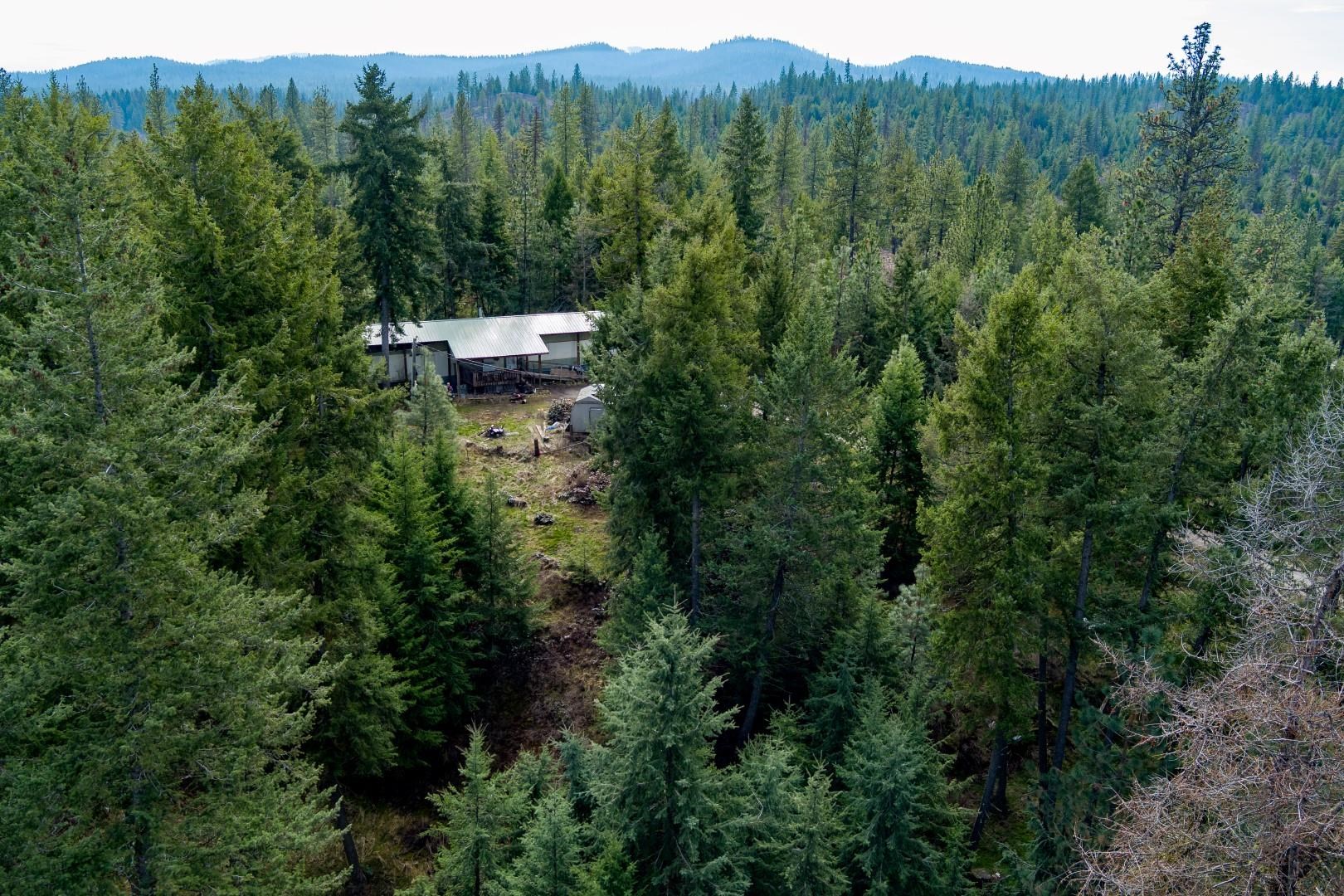 4591 Jepsen Road Valley, WA 99181 - Photo 11 of 15