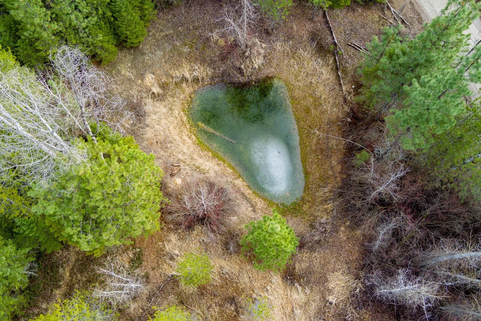 4591 Jepsen Road Valley, WA 99181 - Photo 4 of 15