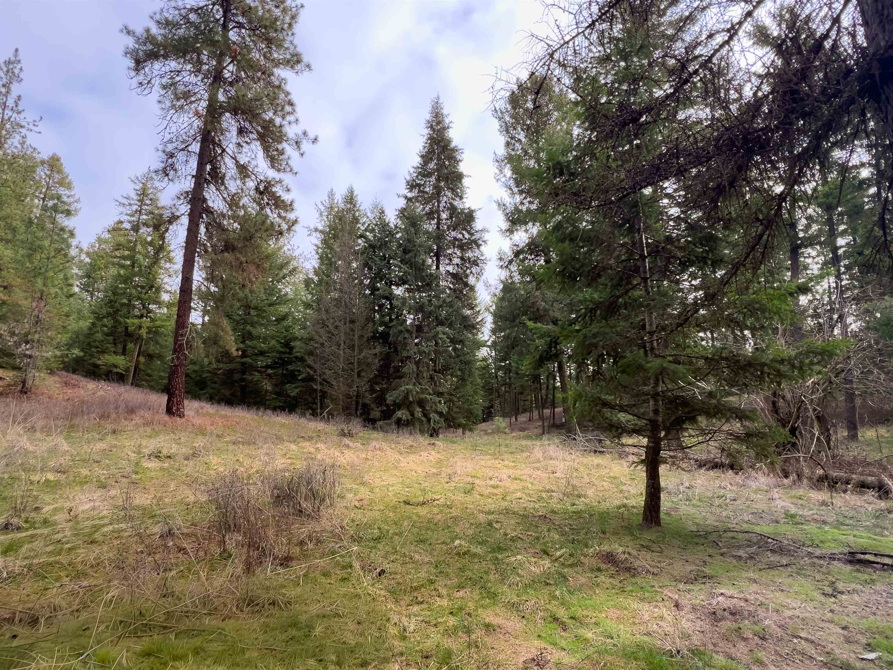 4591 Jepsen Road Valley, WA 99181 - Photo 5 of 15