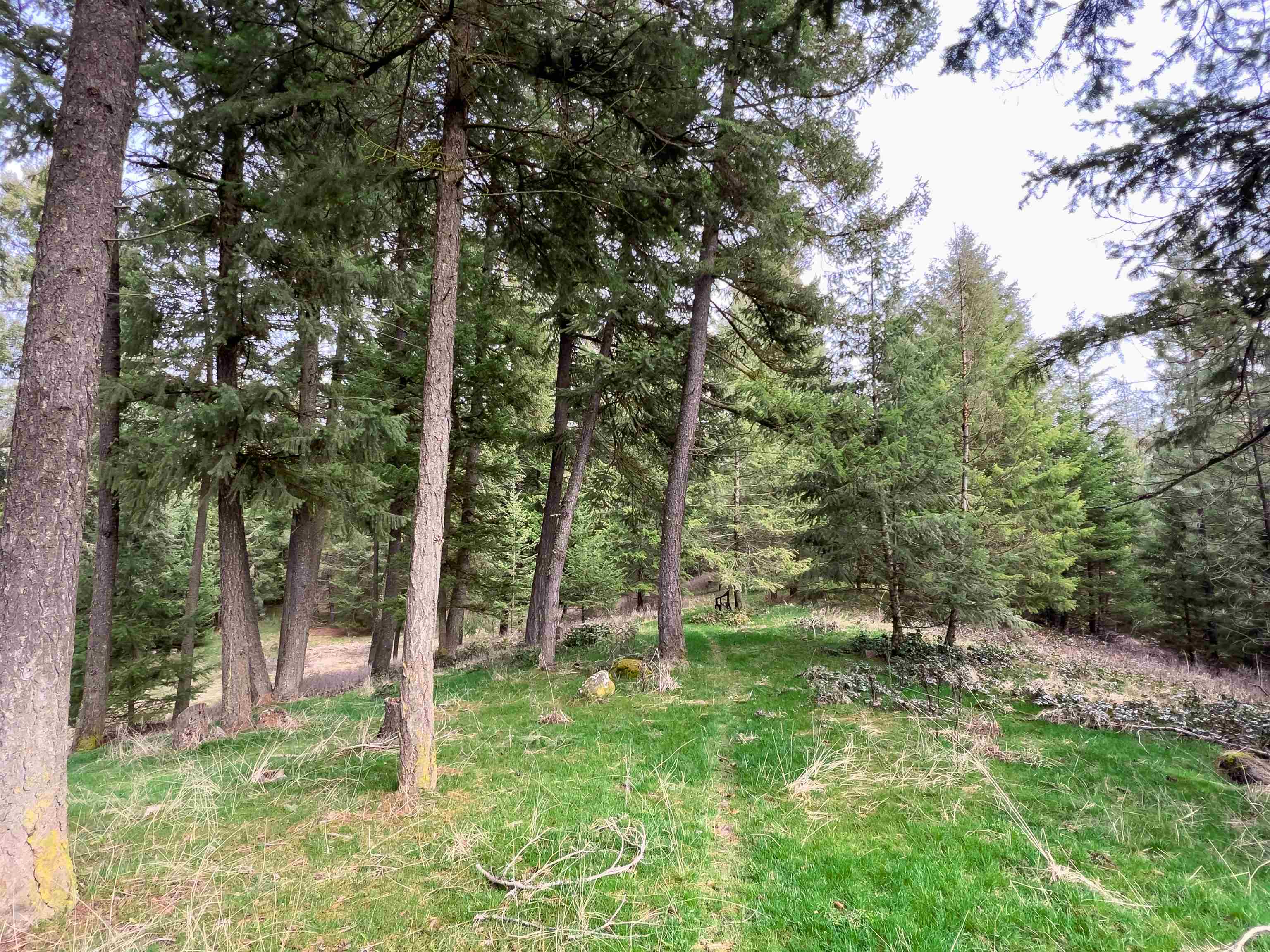 4591 Jepsen Road Valley, WA 99181 - Photo 7 of 15