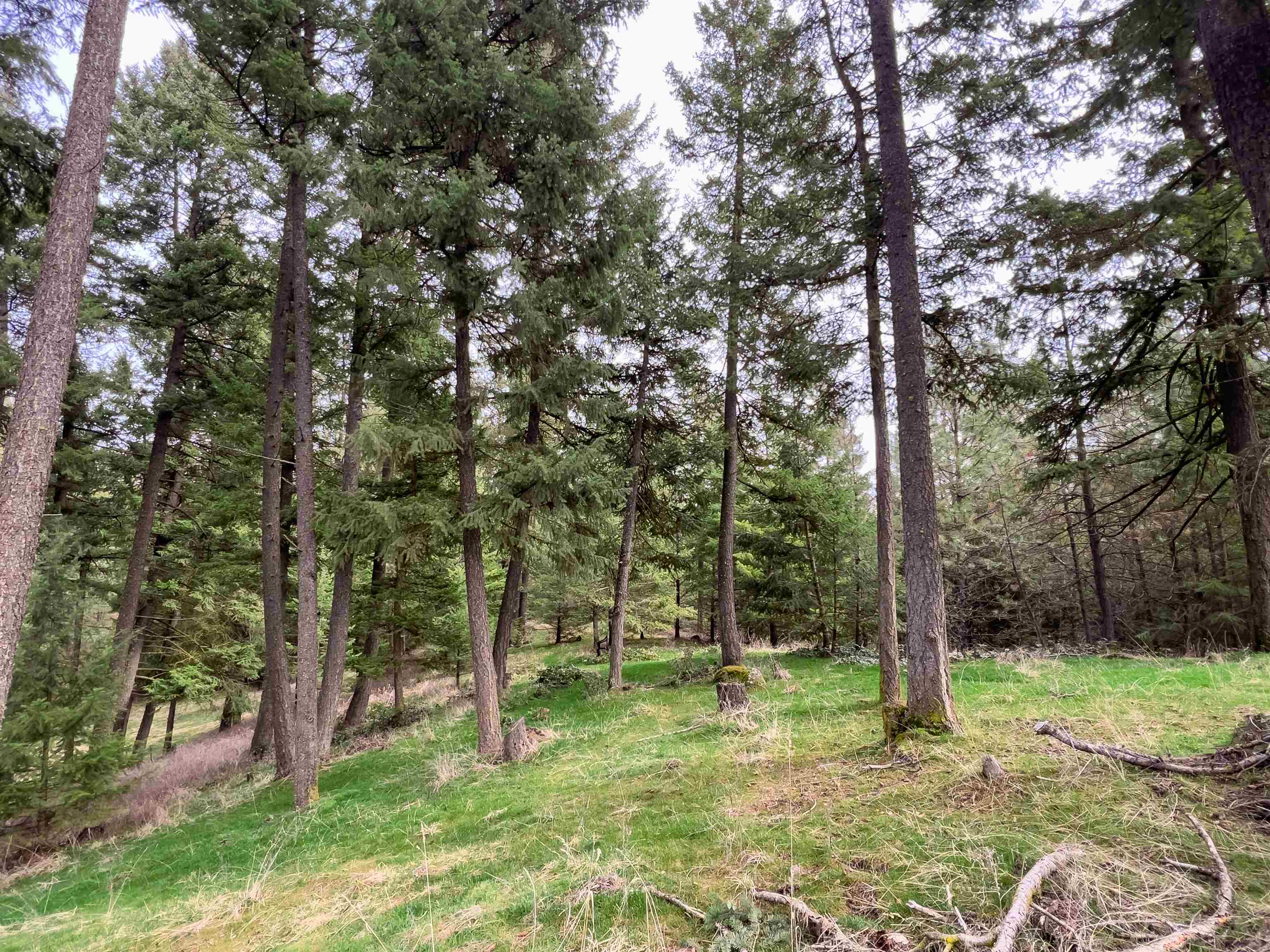 4591 Jepsen Road Valley, WA 99181 - Photo 8 of 15