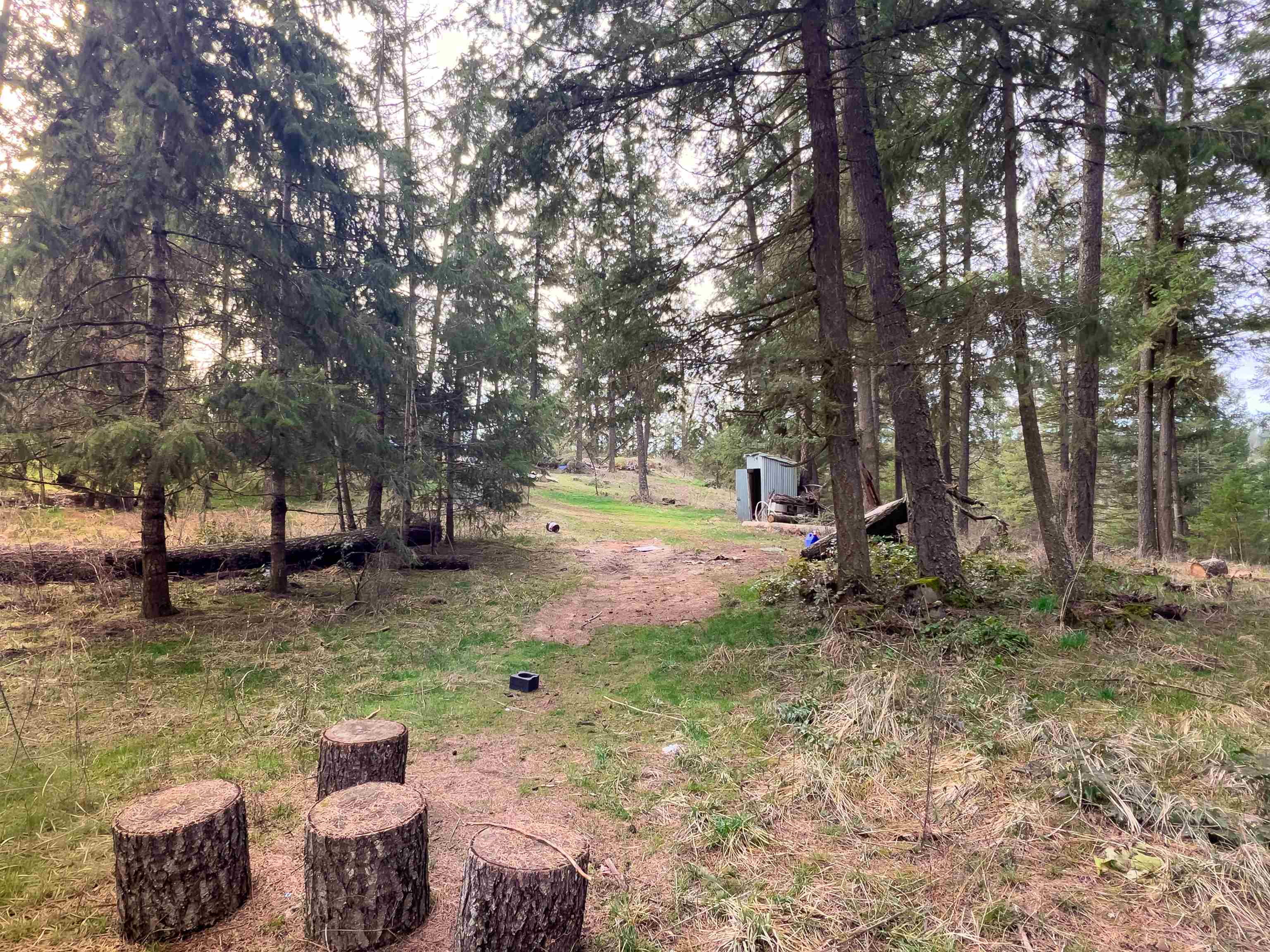 4591 Jepsen Road Valley, WA 99181 - Photo 9 of 15