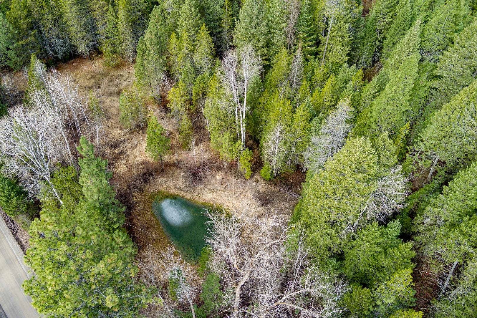 4591 Jepsen Road Valley, WA 99181 - Photo 10 of 15