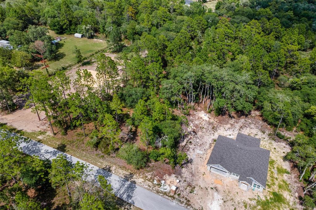 Southwest Viola Court Dunnellon, FL 34431 - Photo 4 of 9