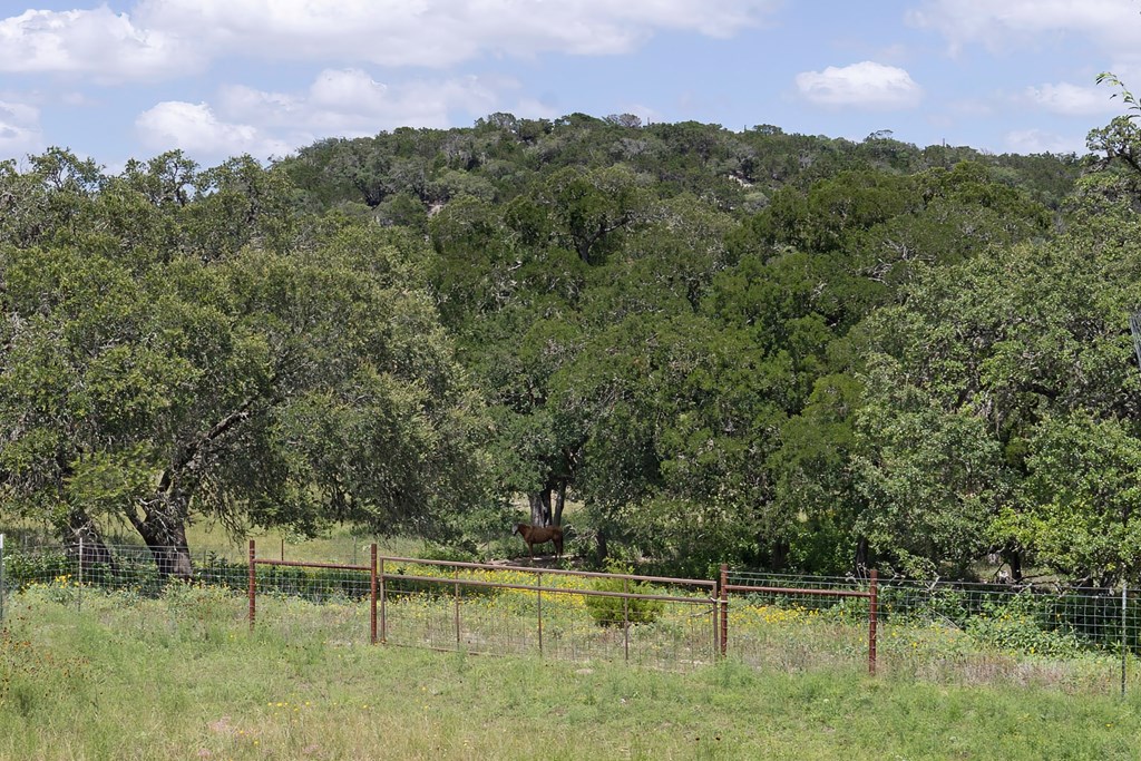 126 East Madrone Ridge Comfort, TX 78013 - Photo 46 of 49 Gallery Image 46