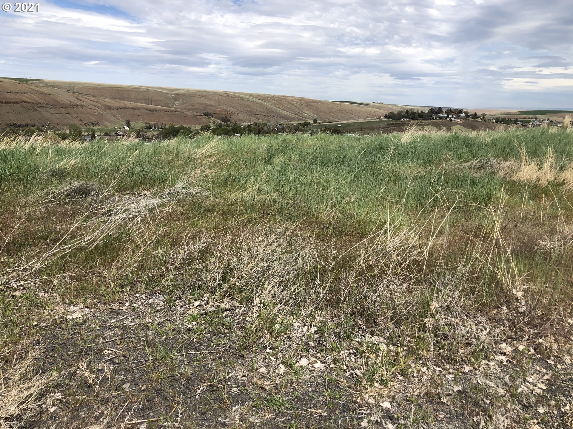 Southeast Isaac Avenue Pendleton, OR 97801 - Photo 3 of 4